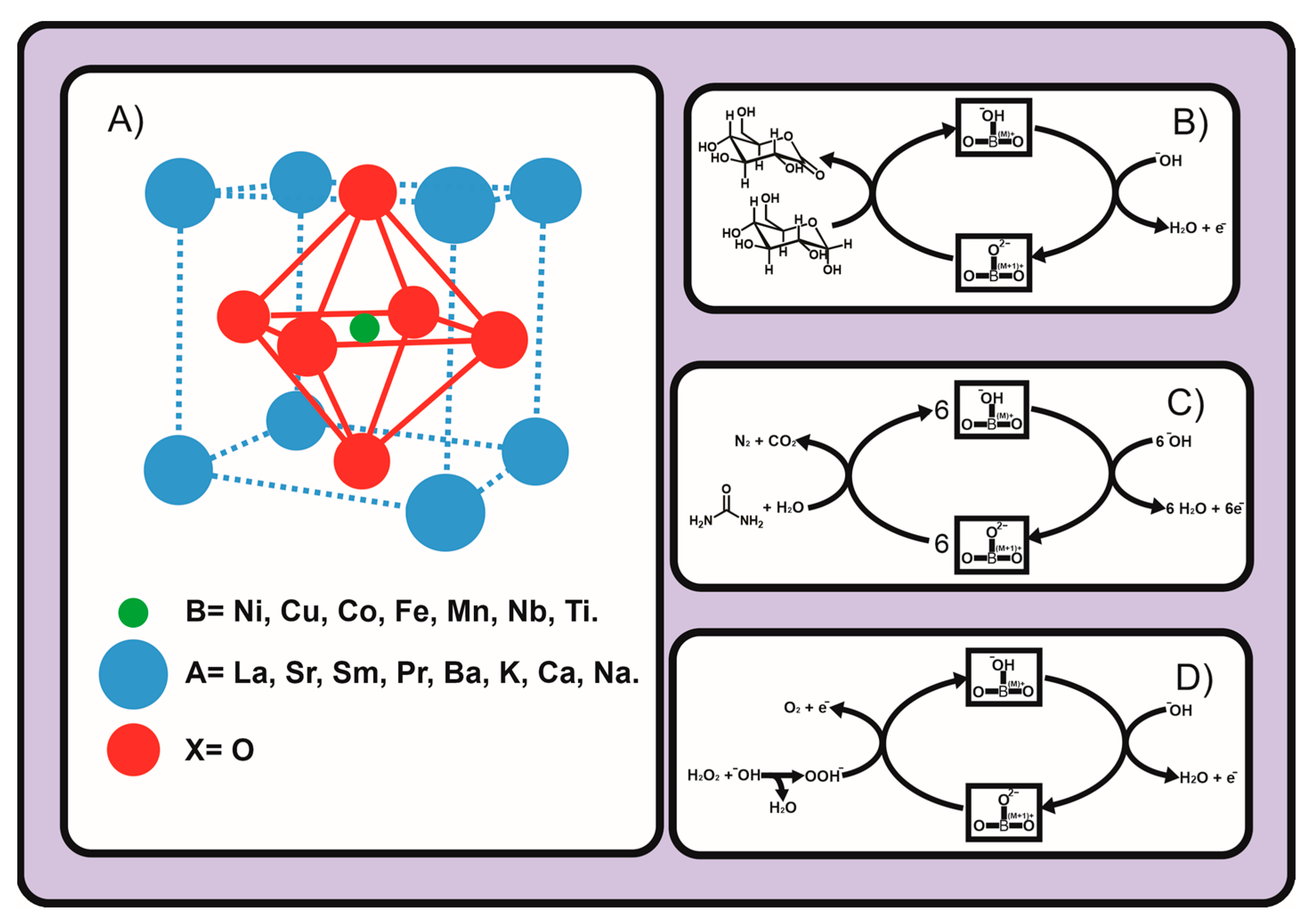Chemosensors 11 00507 g001