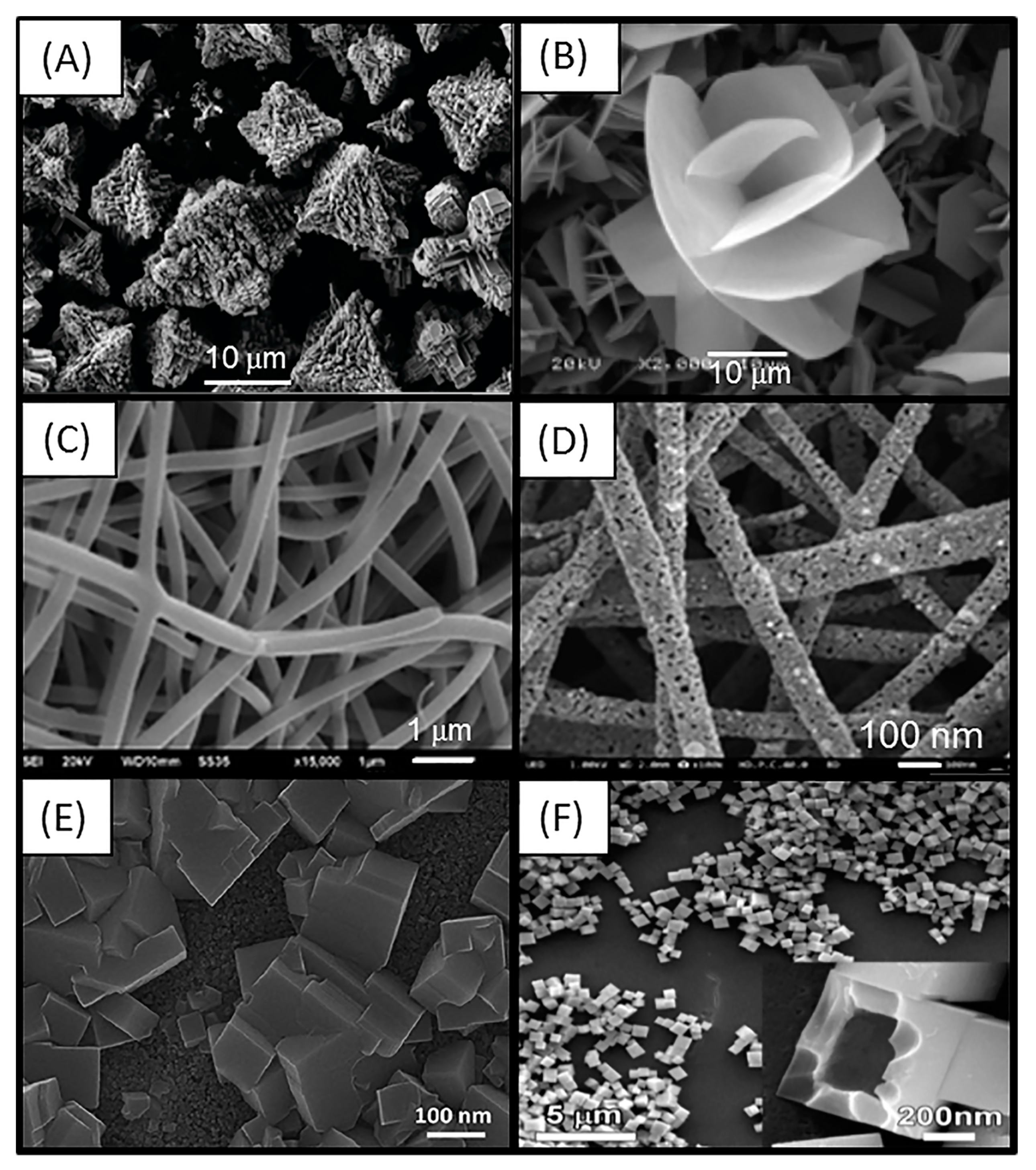 Chemosensors 11 00507 g004
