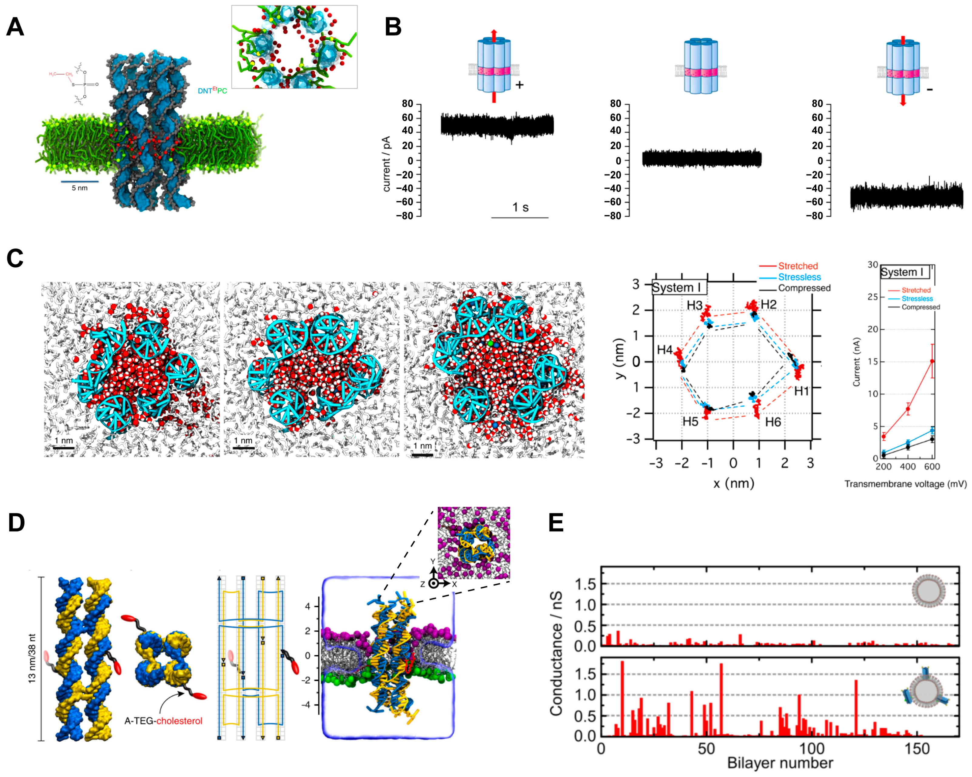 Chemosensors 11 00508 g003
