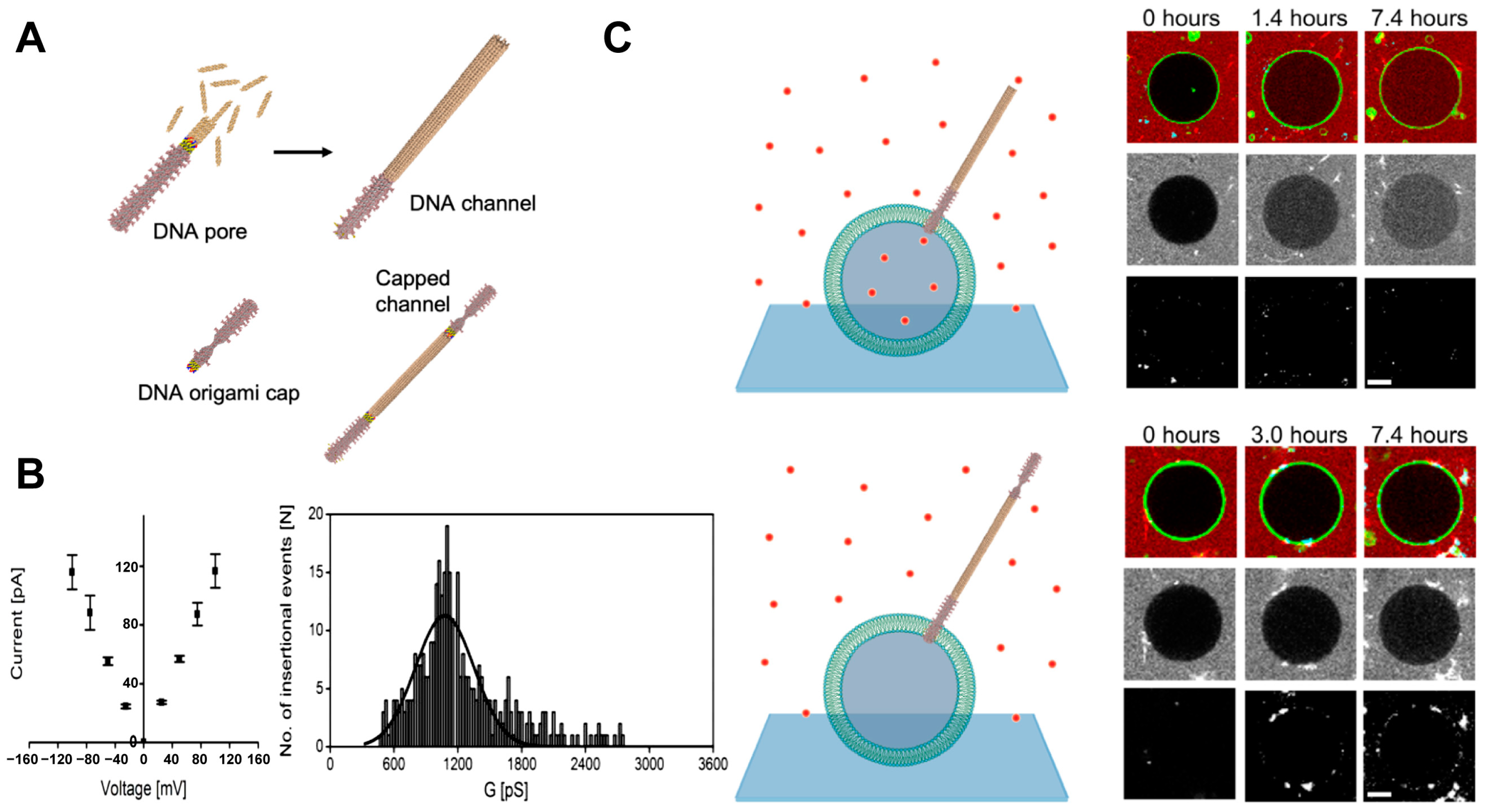 Chemosensors 11 00508 g004