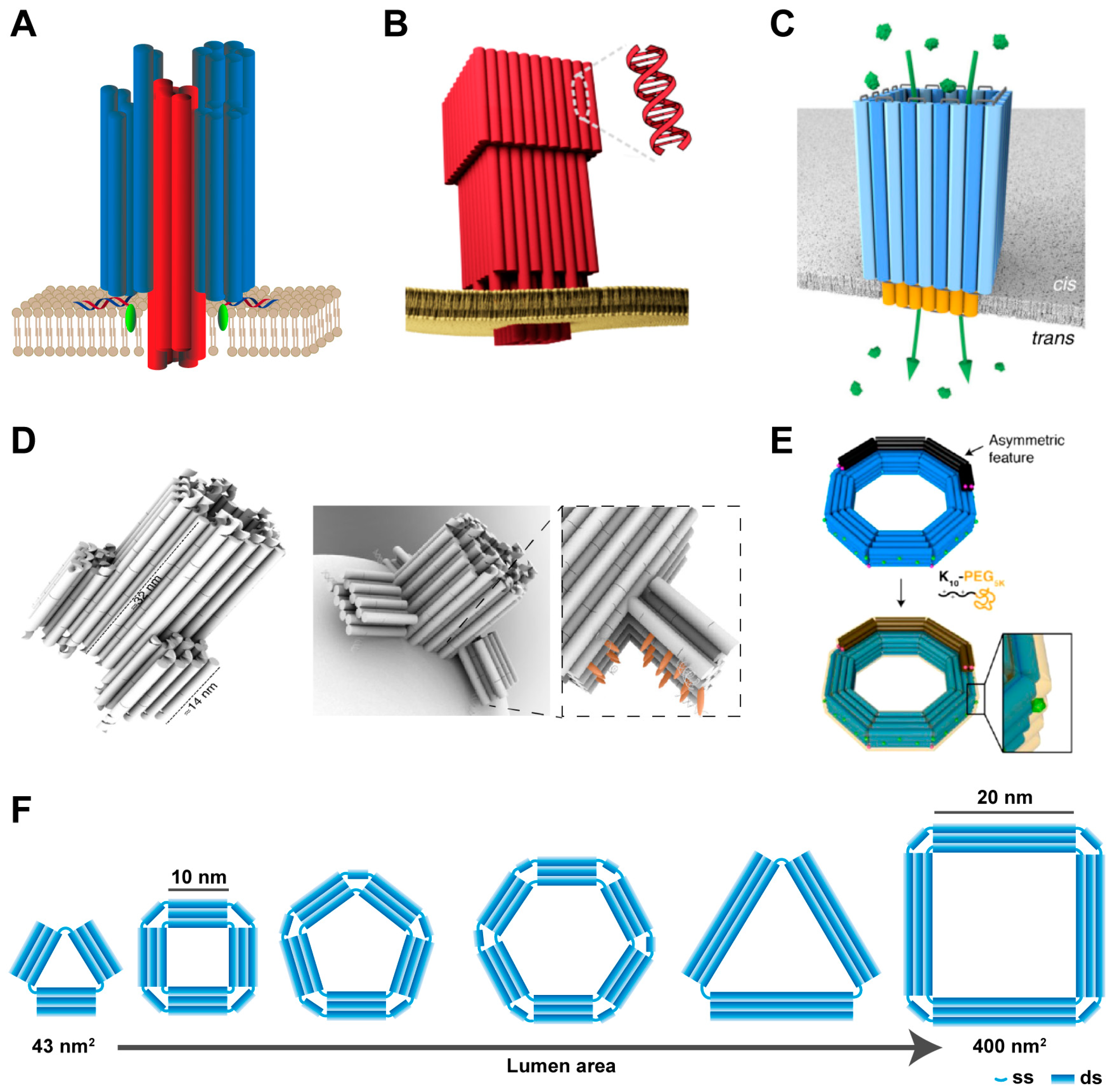 Chemosensors 11 00508 g005