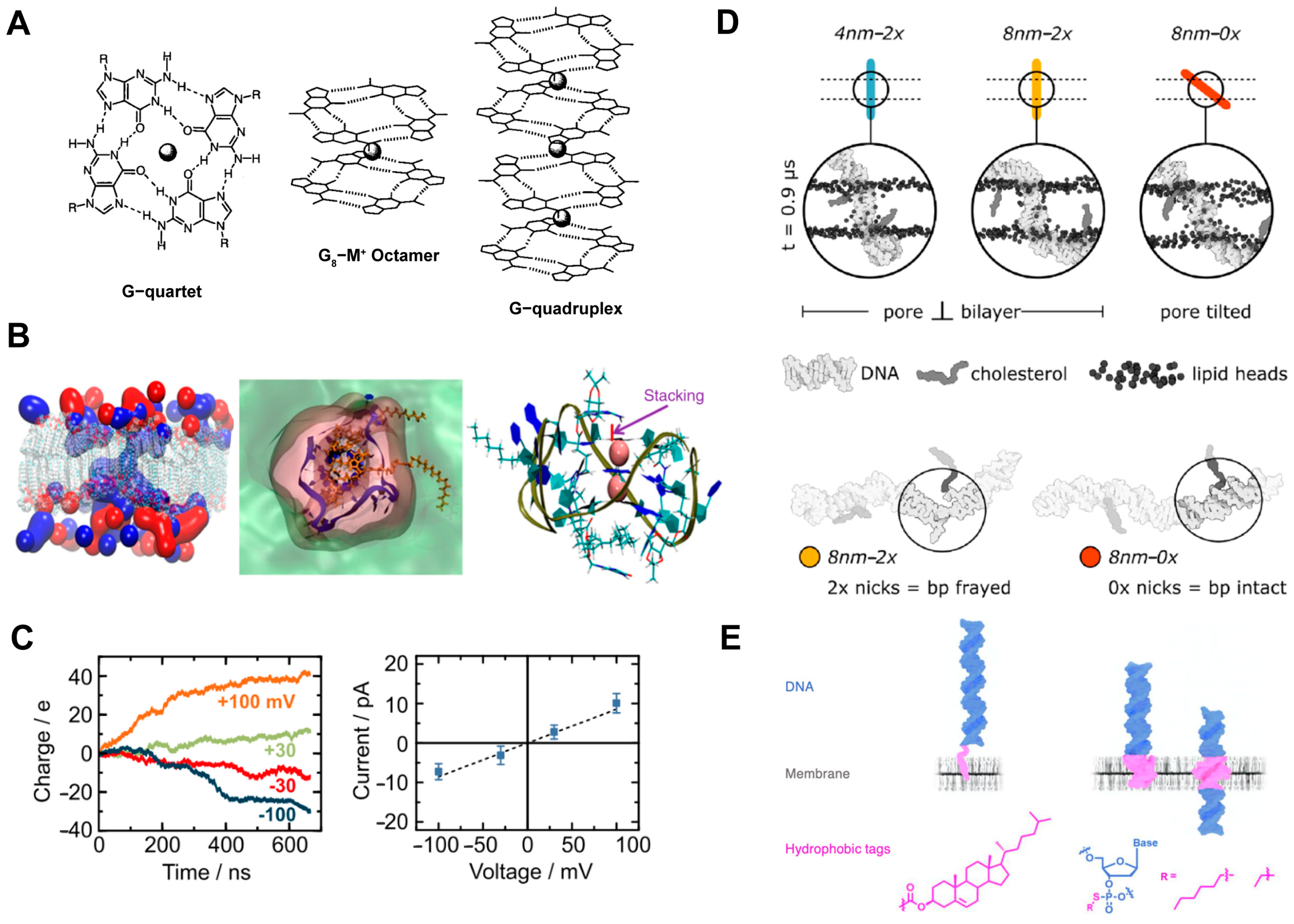 Chemosensors 11 00508 g006