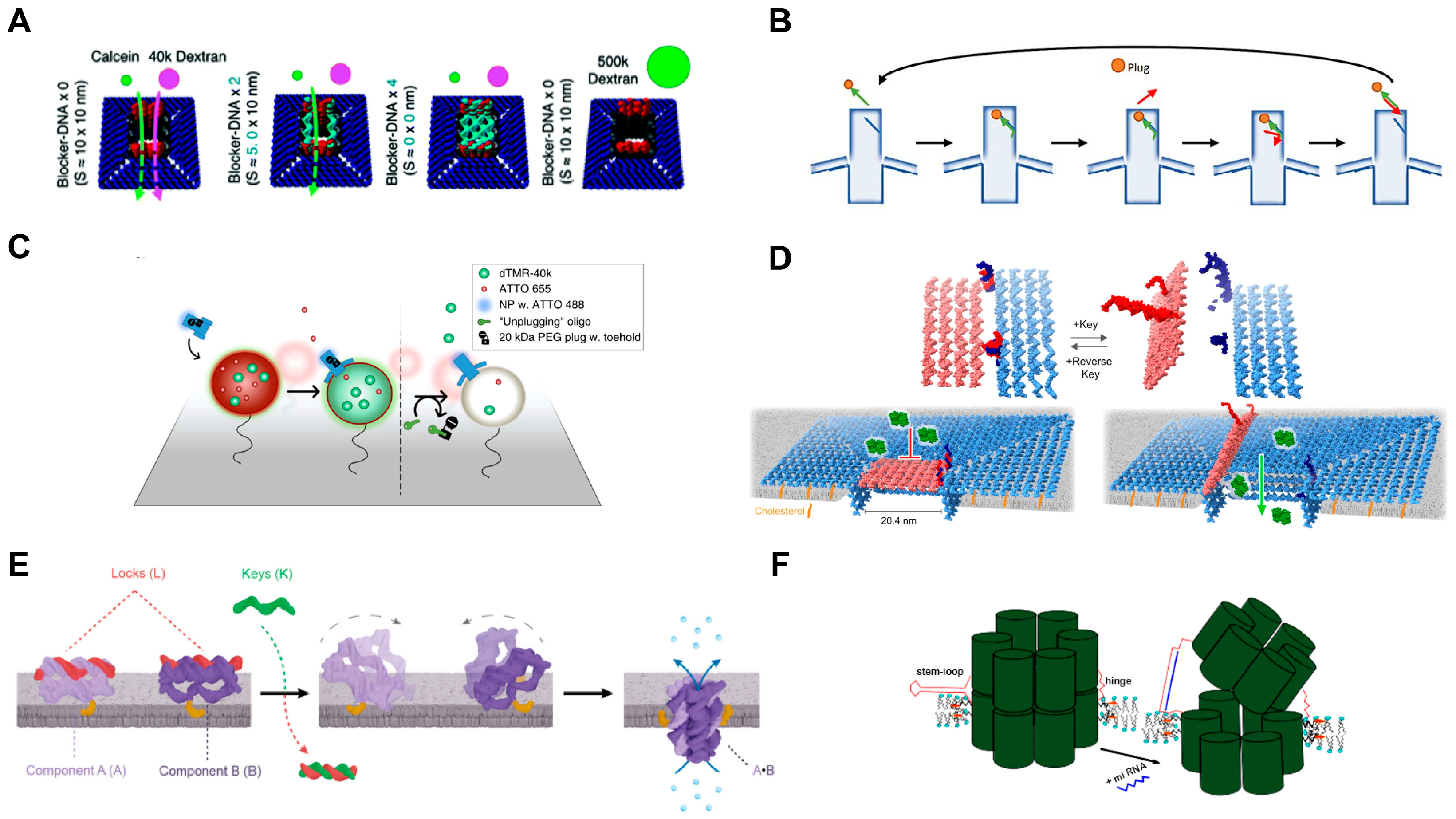 Chemosensors 11 00508 g008