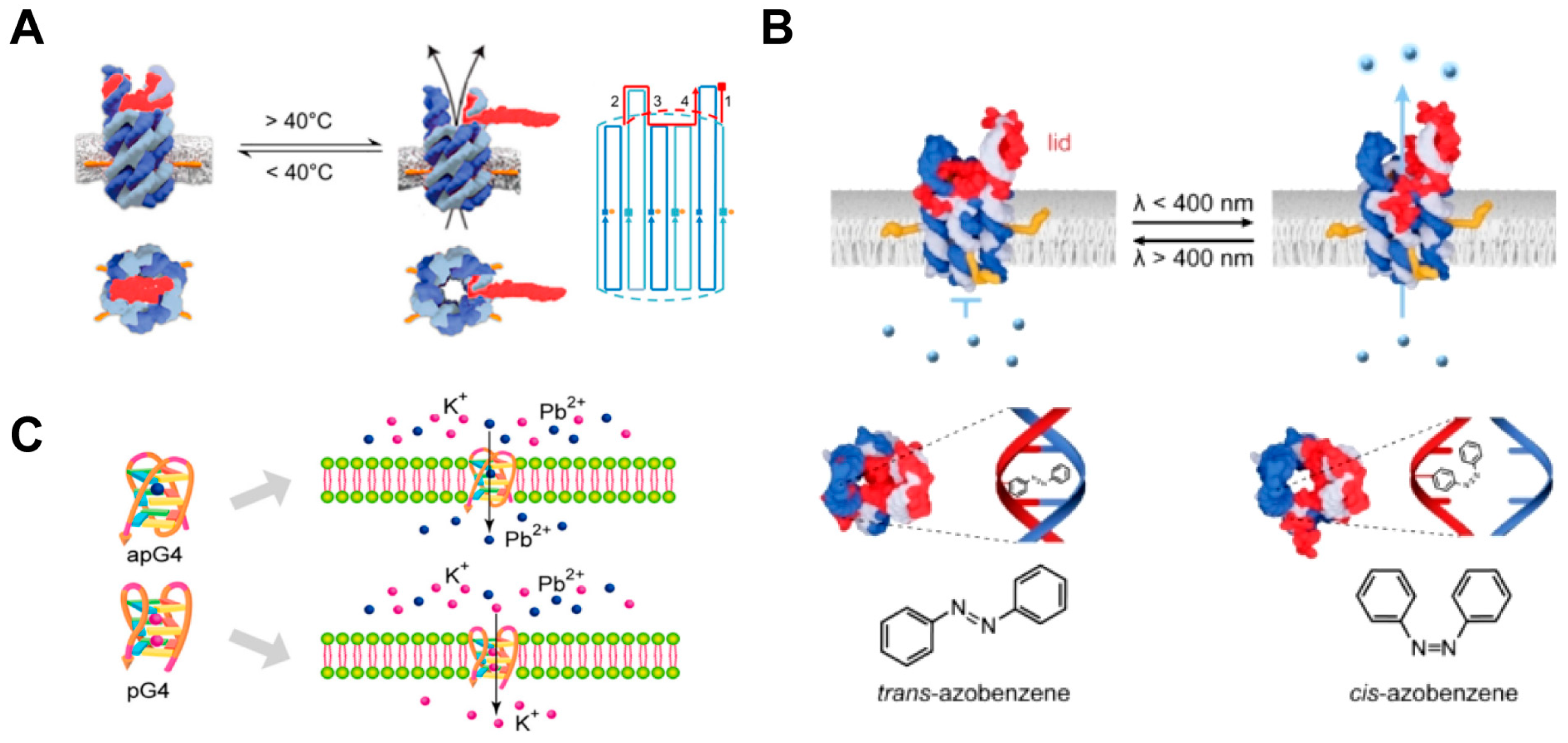 Chemosensors 11 00508 g009