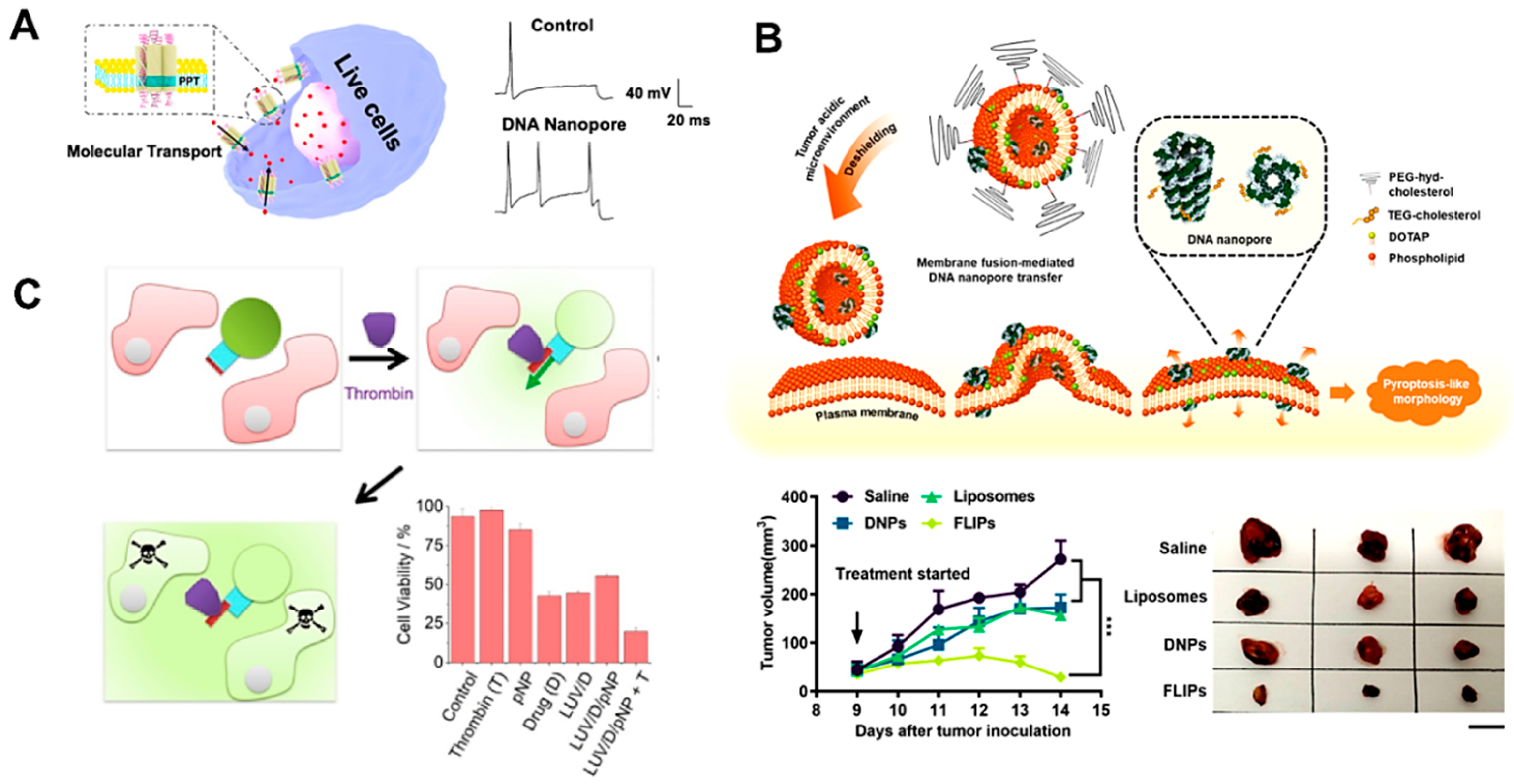 Chemosensors 11 00508 g011