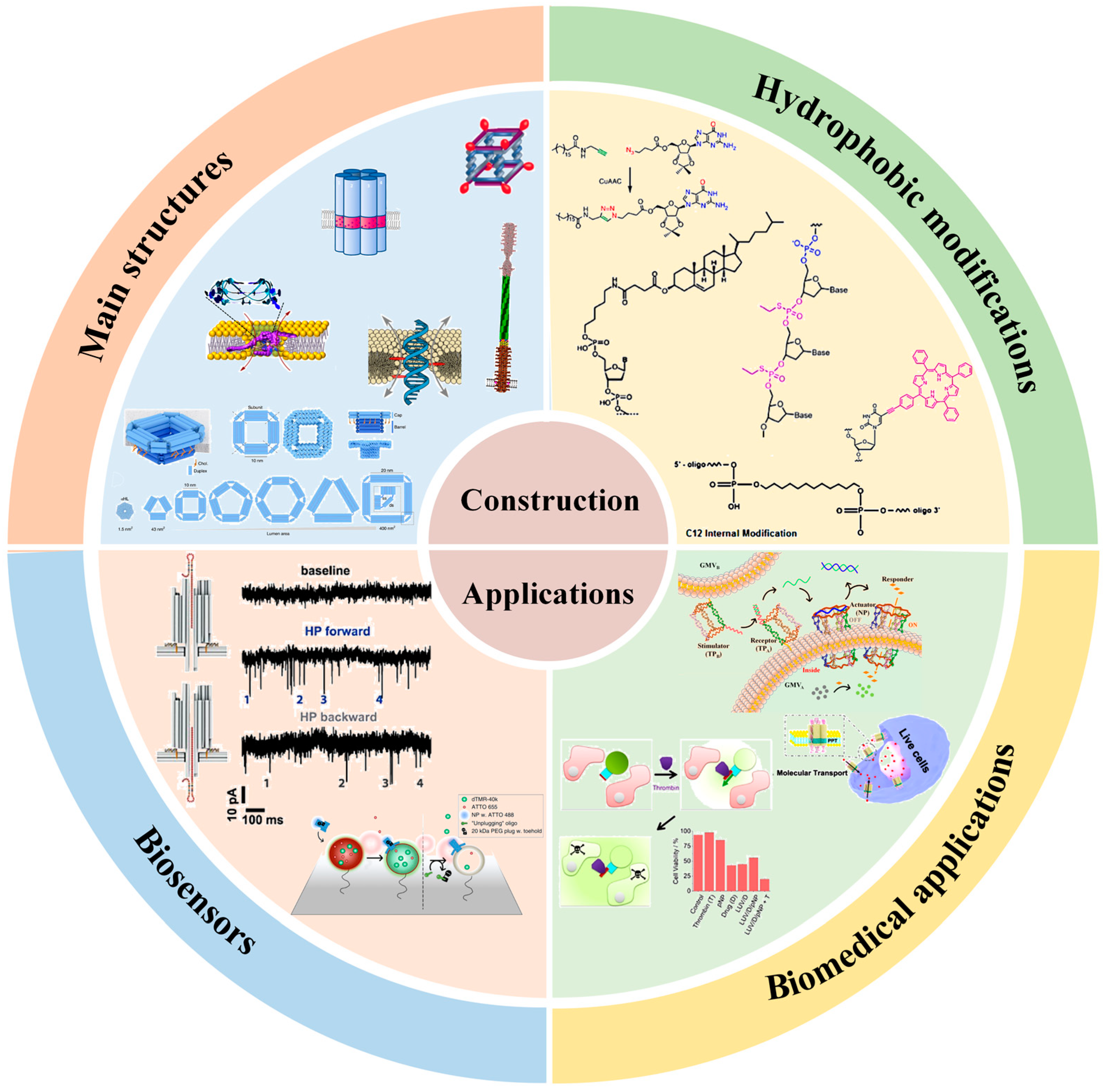Chemosensors 11 00508 sch001