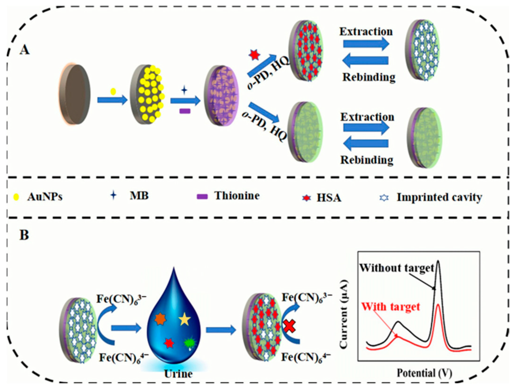 Chemosensors 11 00510 g001