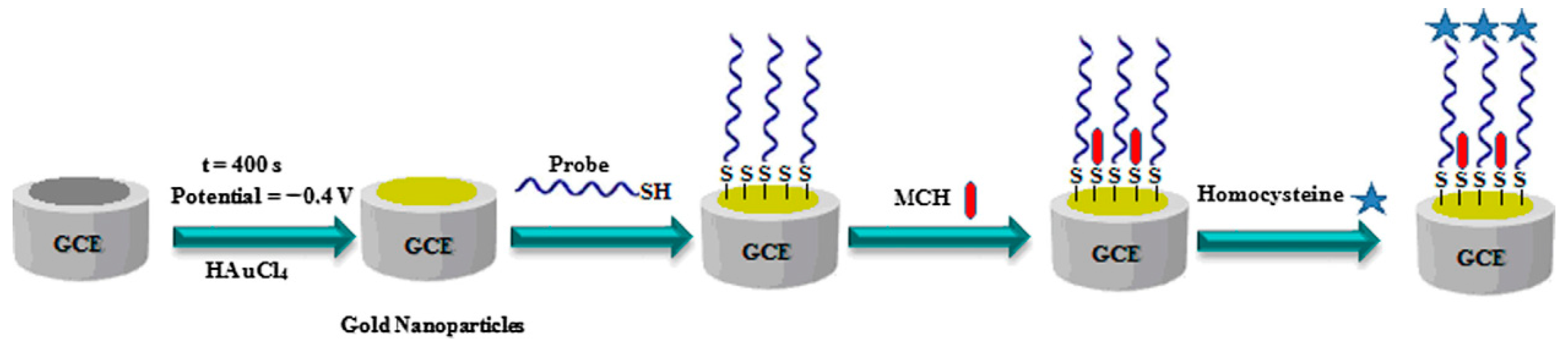 Chemosensors 11 00510 g004
