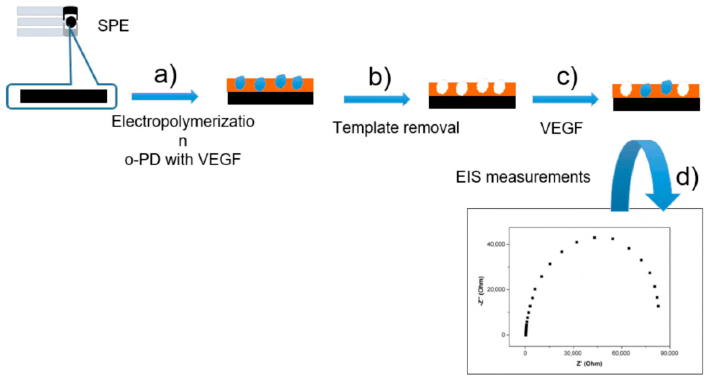 Chemosensors 11 00510 g005