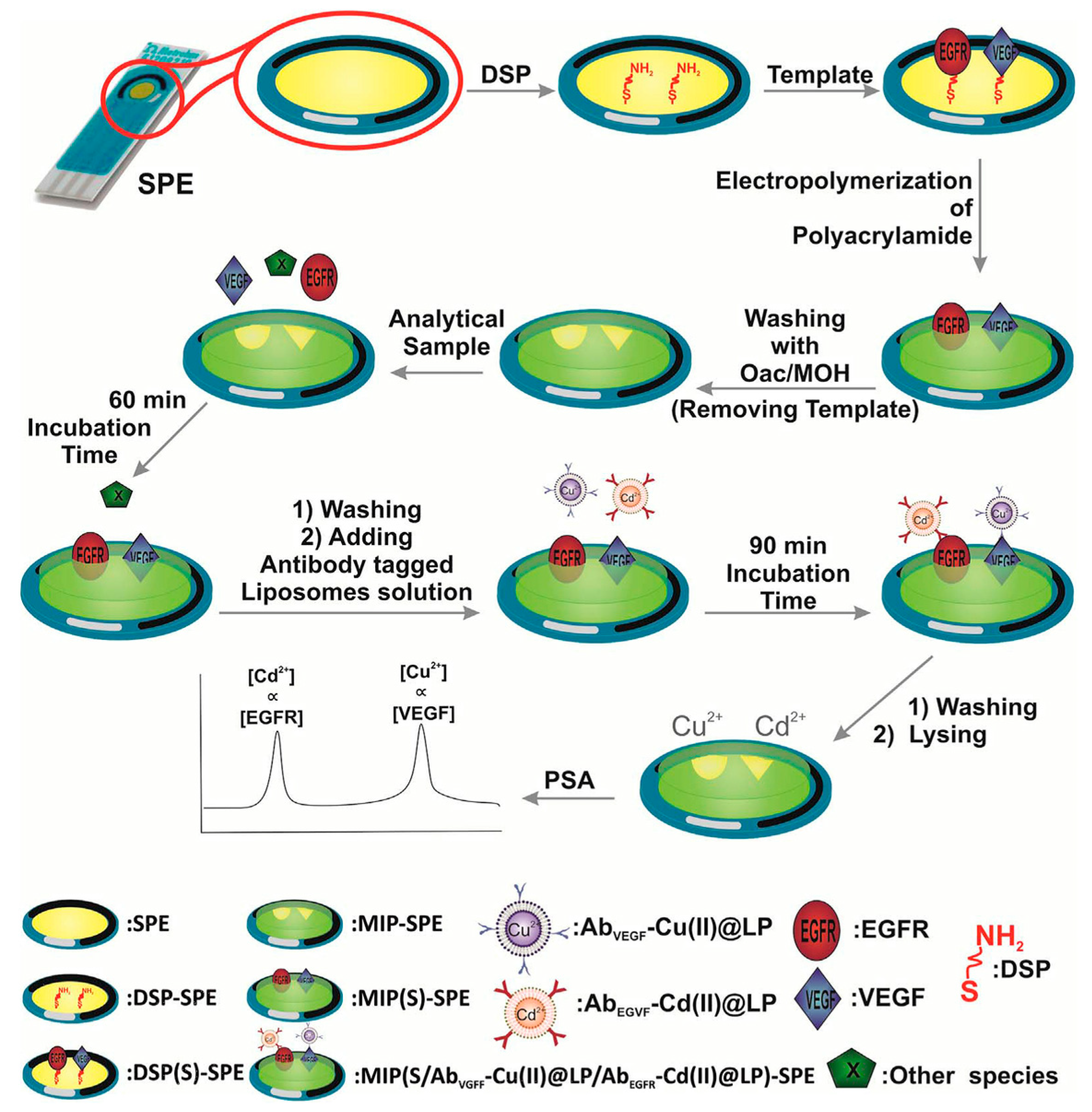 Chemosensors 11 00510 g006