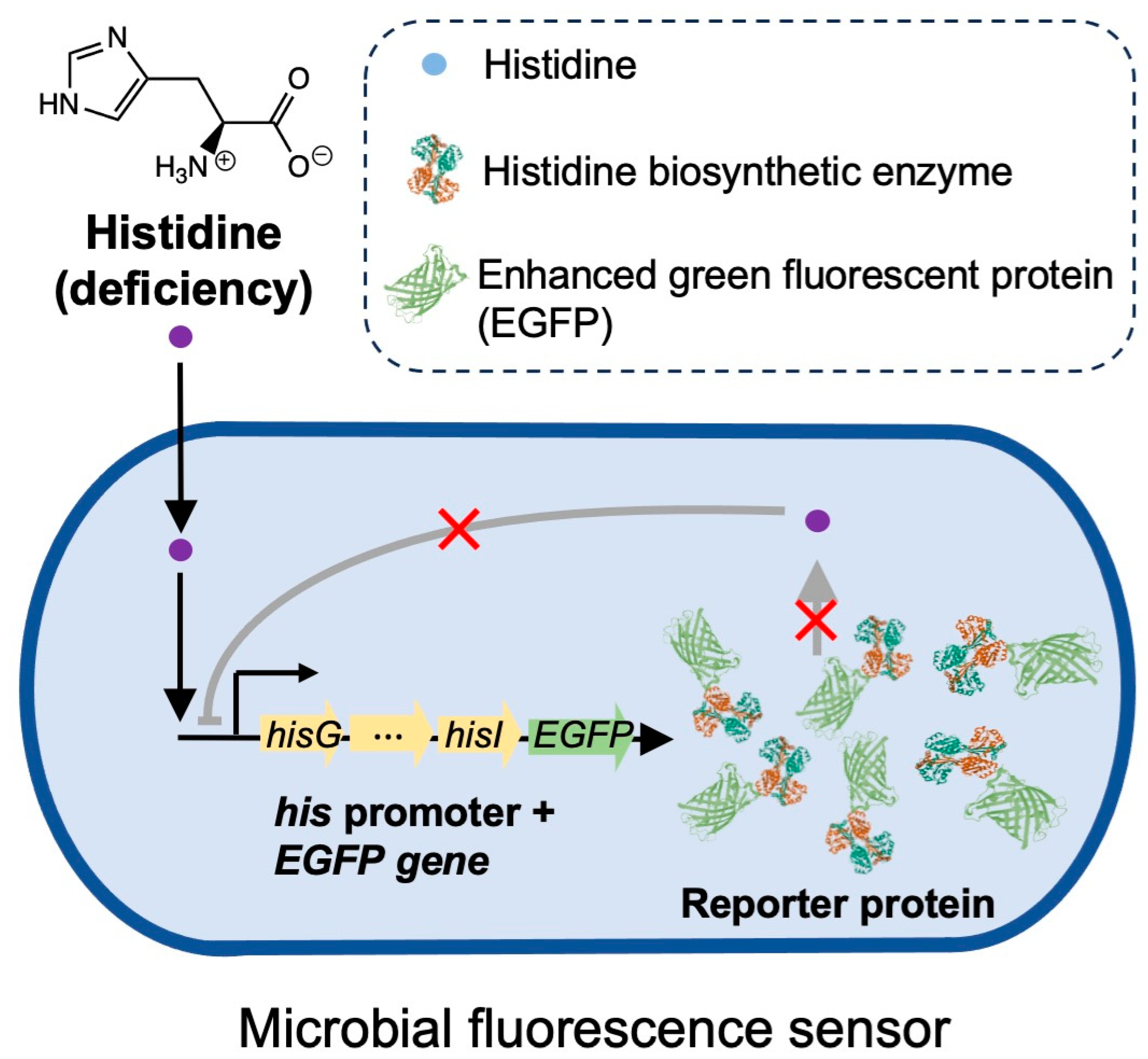 Chemosensors 11 00515 g001