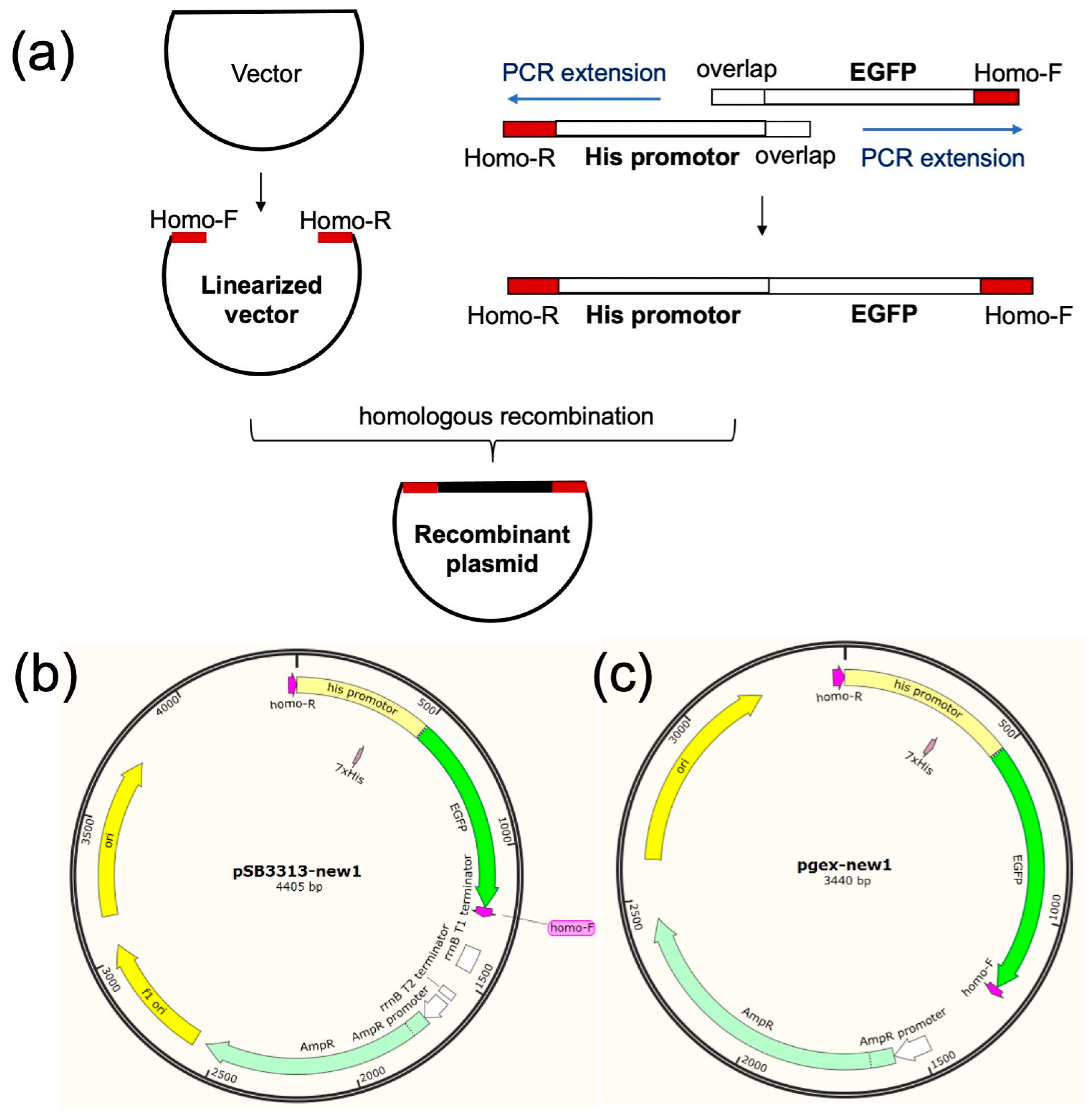 Chemosensors 11 00515 g002