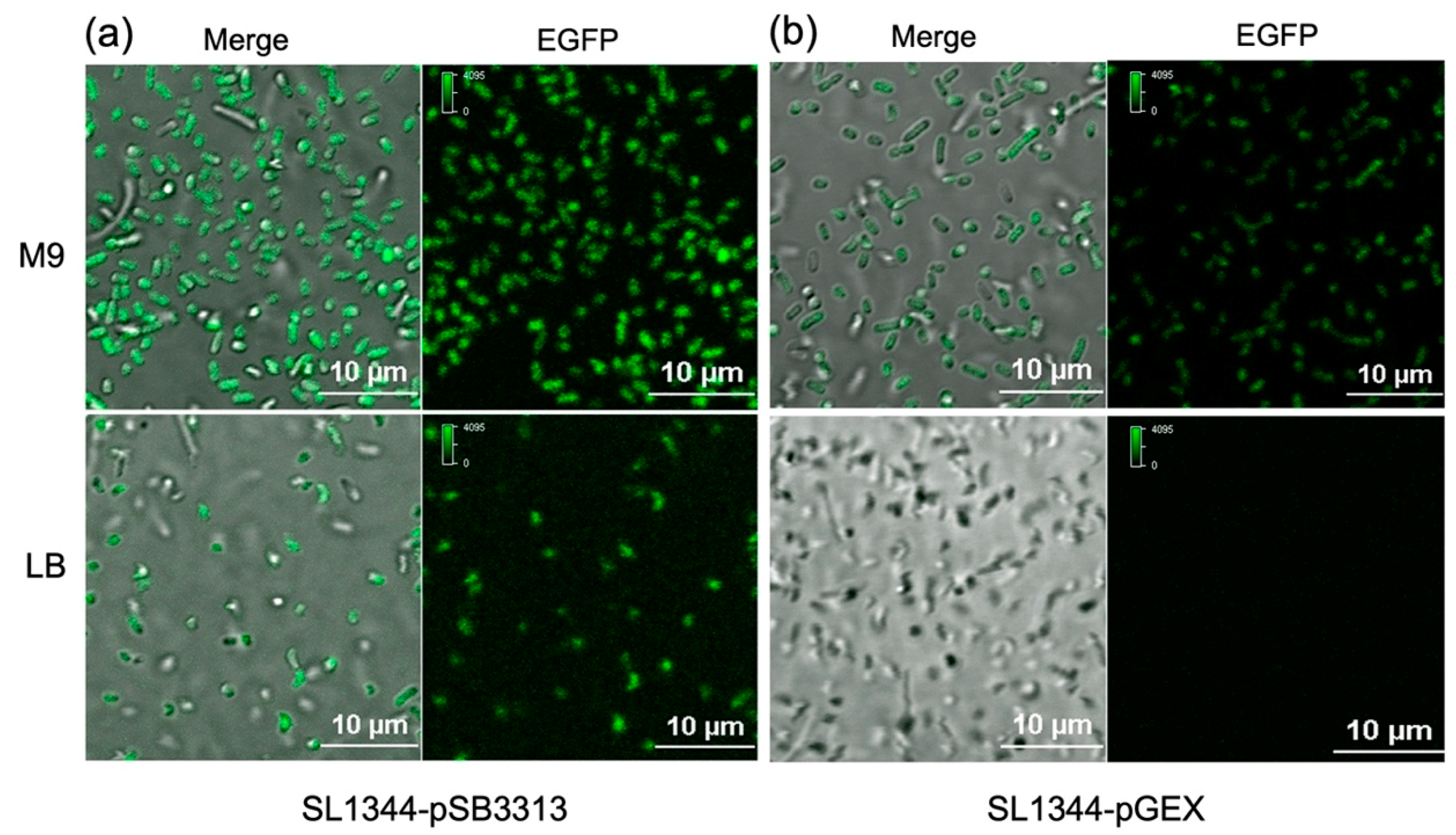 Chemosensors 11 00515 g003