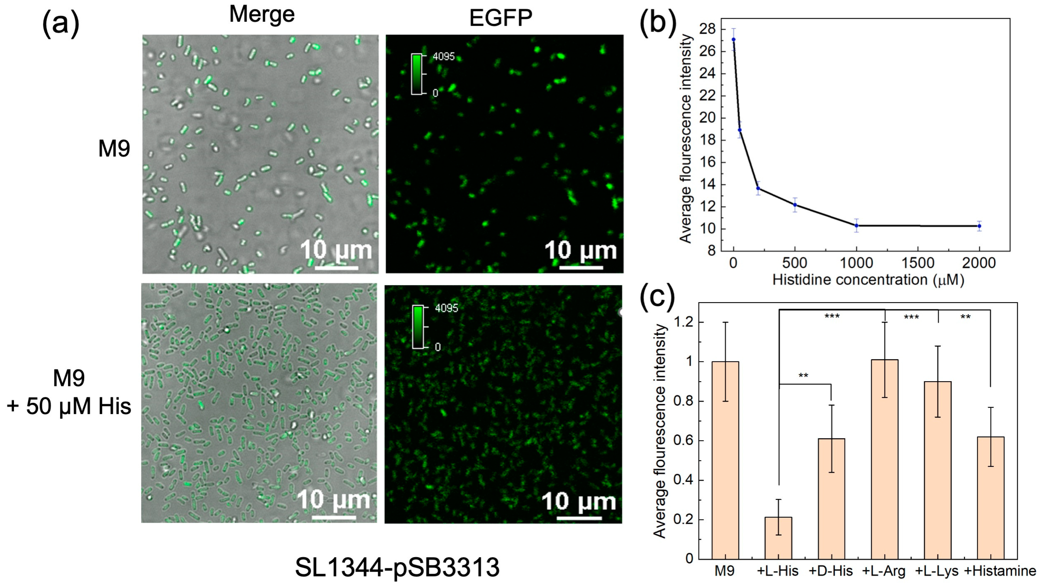 Chemosensors 11 00515 g004