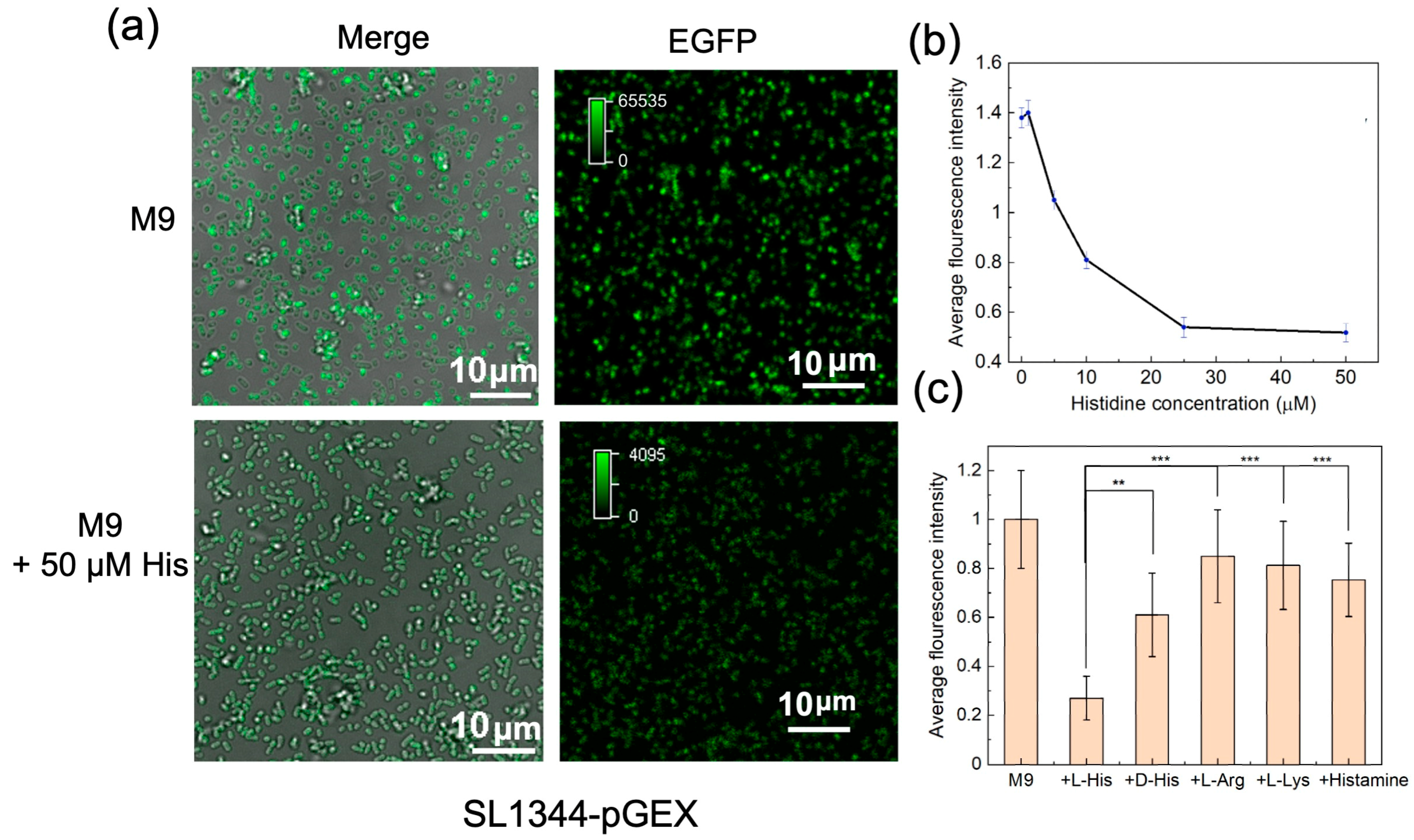 Chemosensors 11 00515 g005