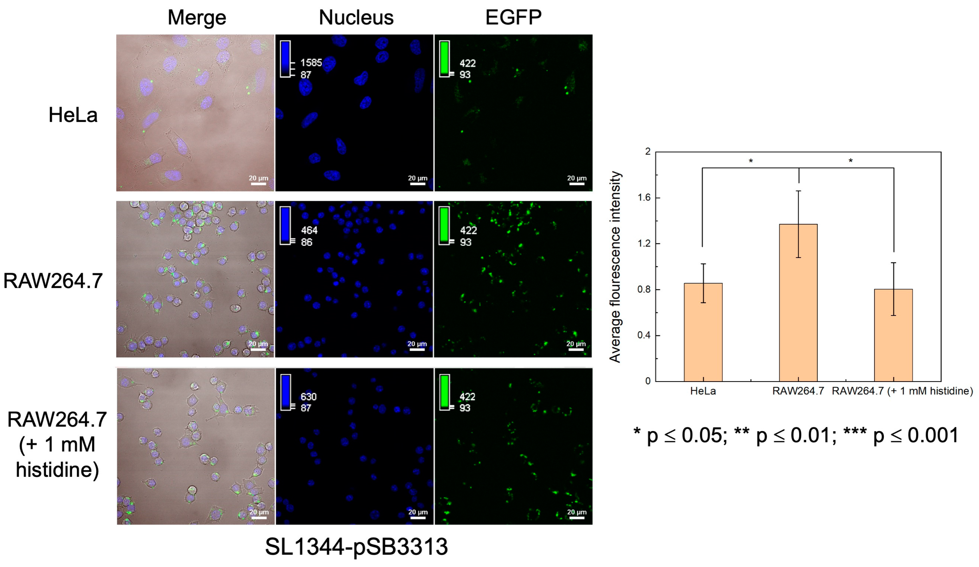 Chemosensors 11 00515 g007