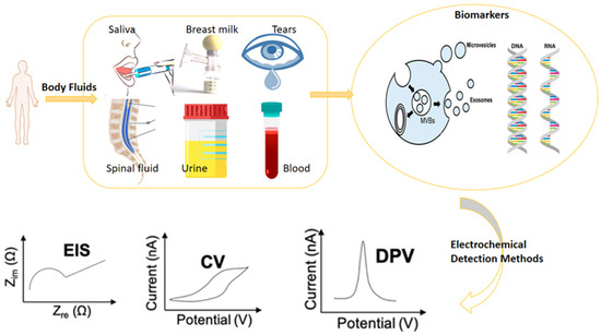 Chemosensors 11 00517 g002