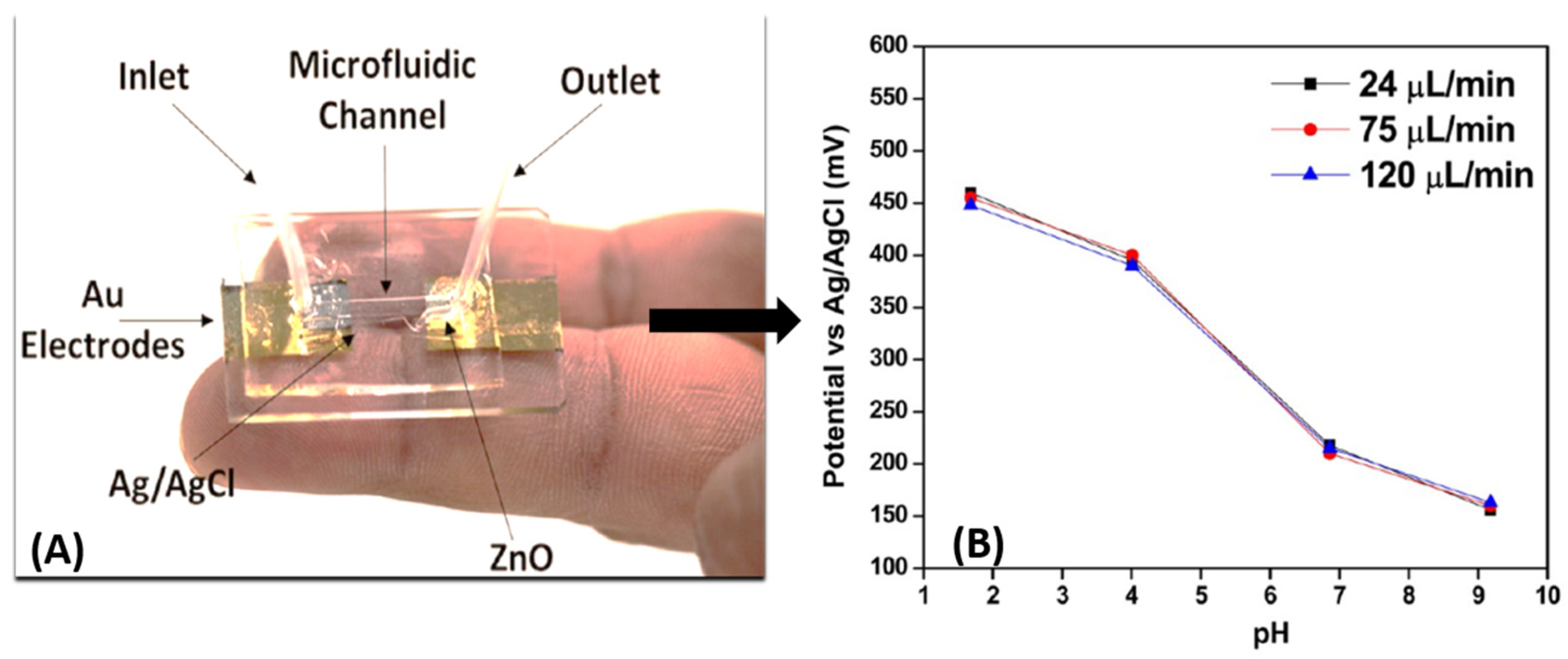 Chemosensors 11 00517 g005