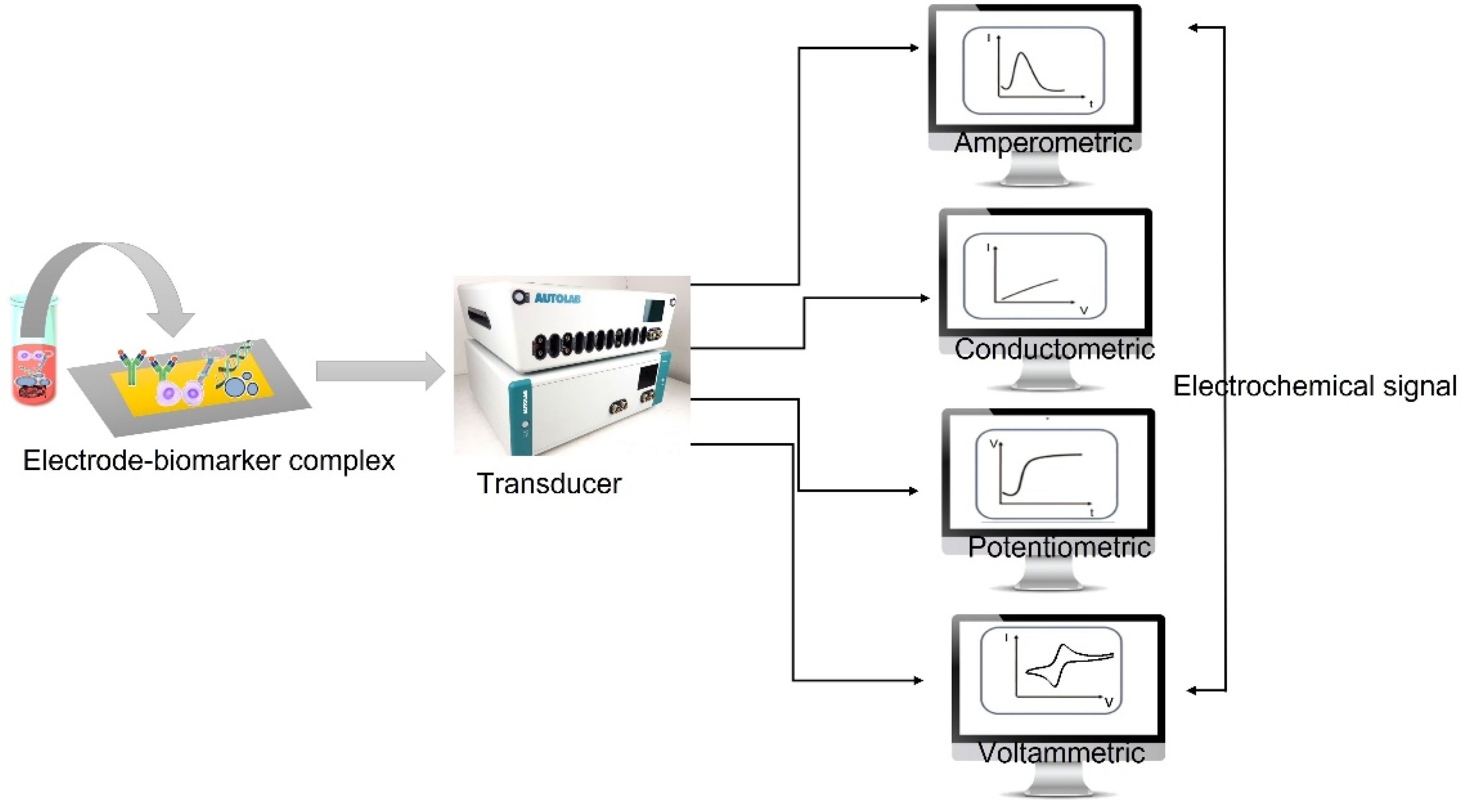 Chemosensors 11 00517 g008