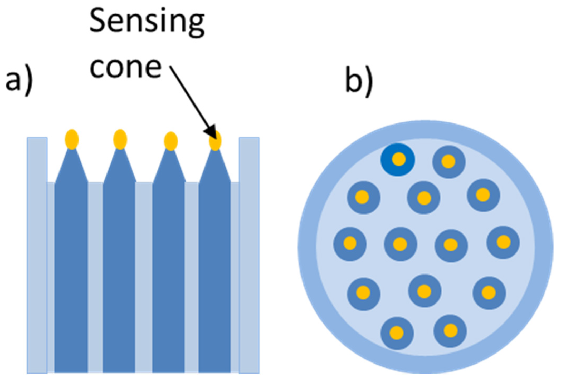 Chemosensors 11 00521 g011