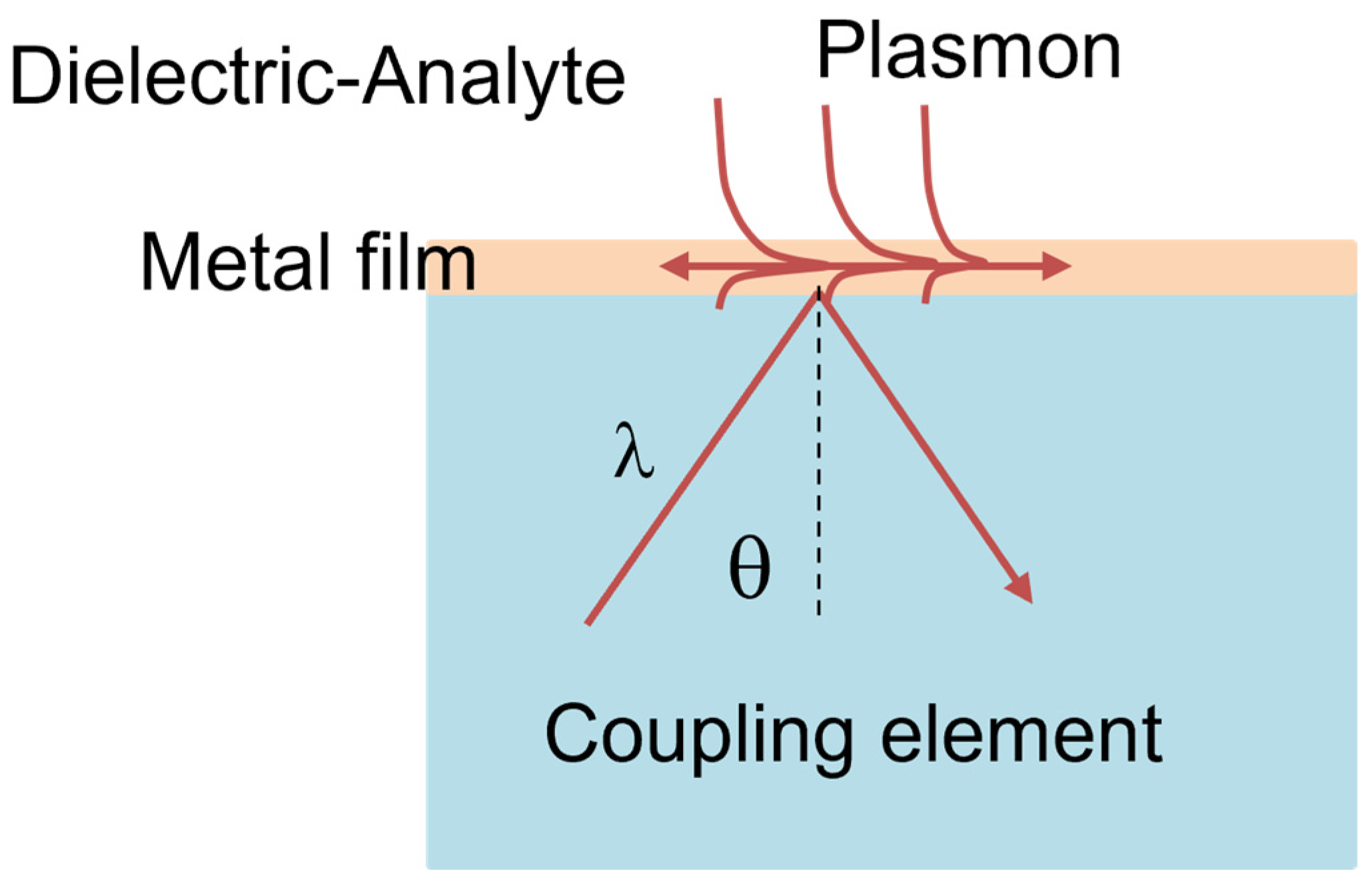 Chemosensors 11 00521 g013