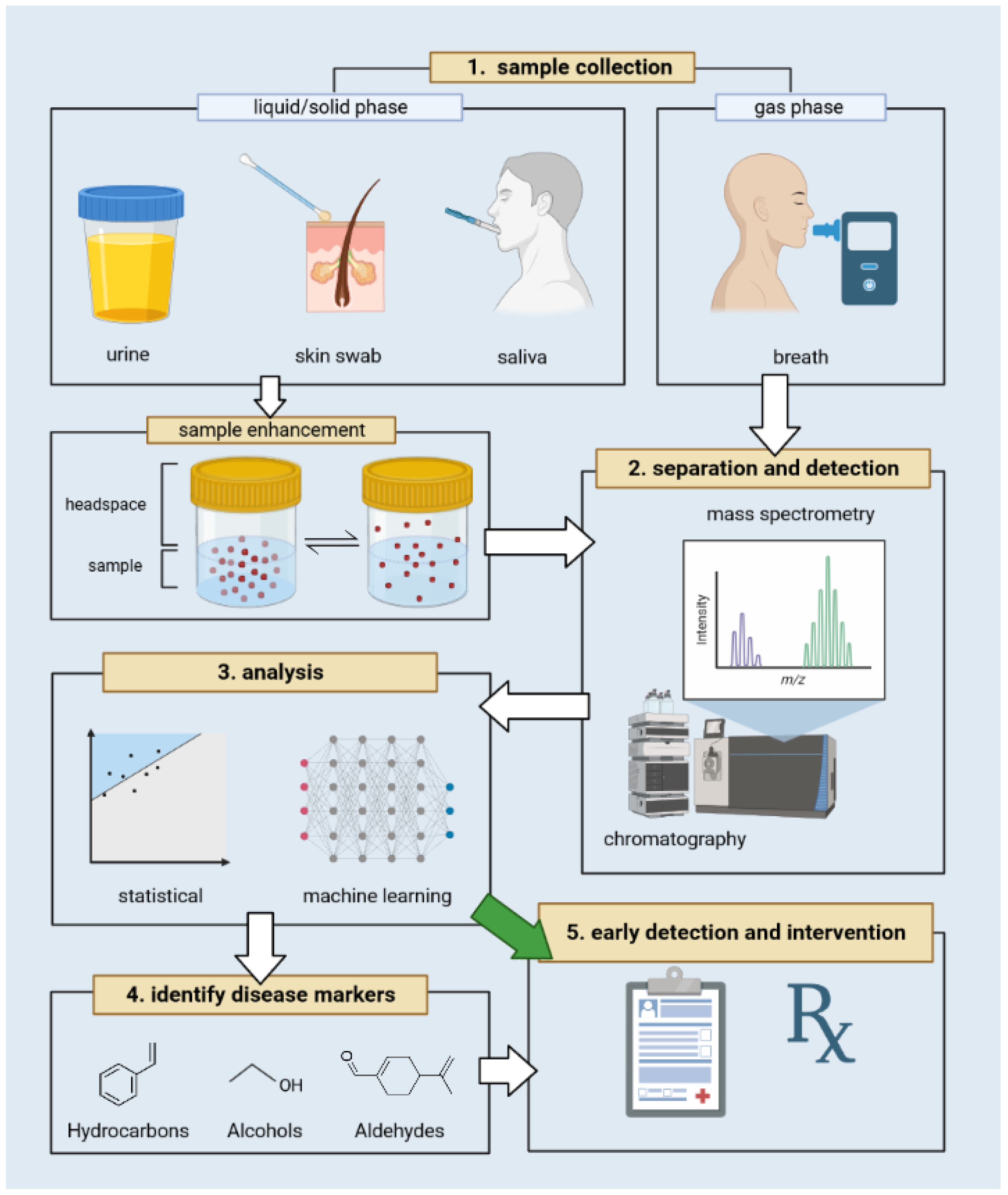 Chemosensors 11 00528 g001