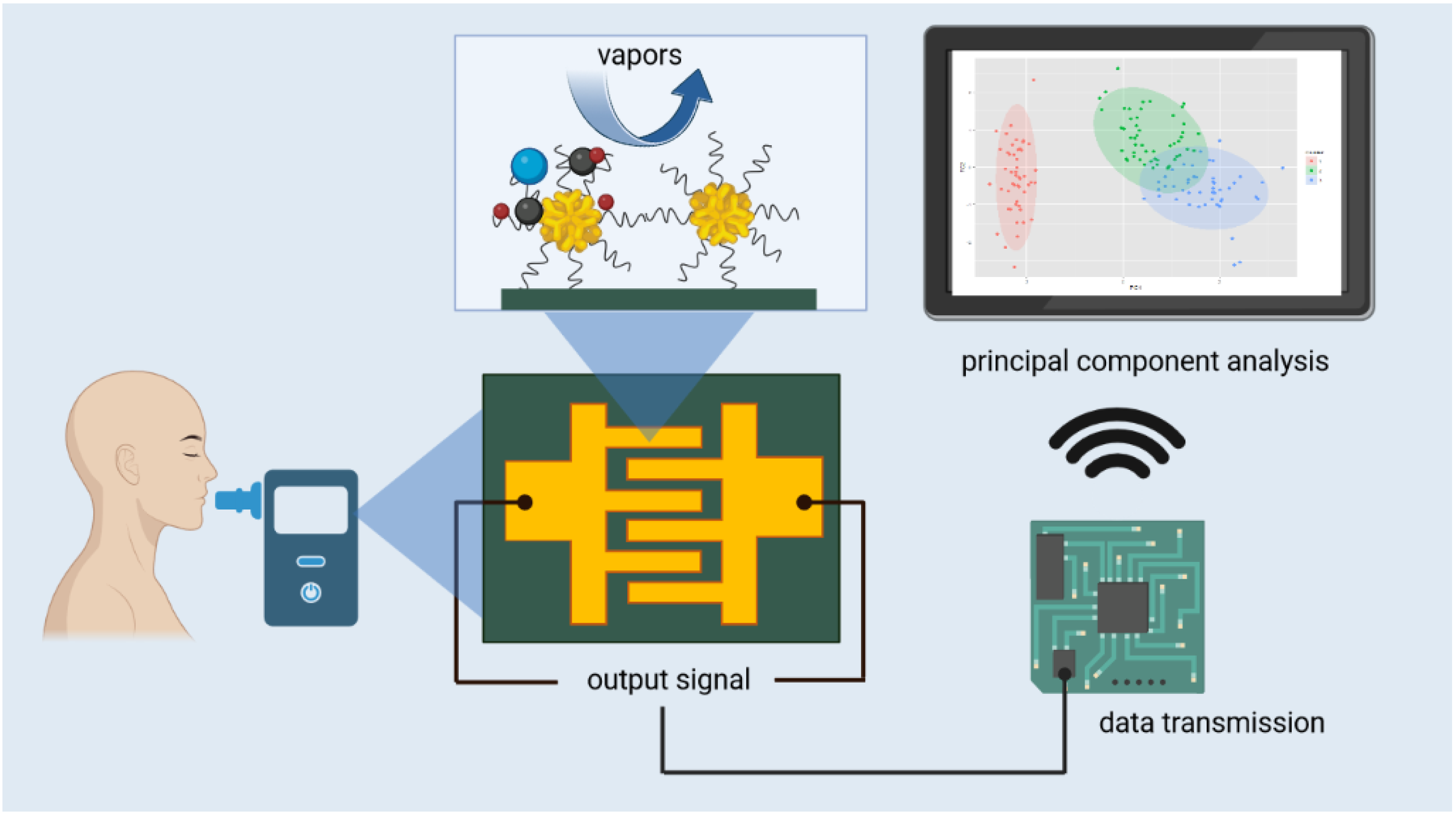 Chemosensors 11 00528 g003