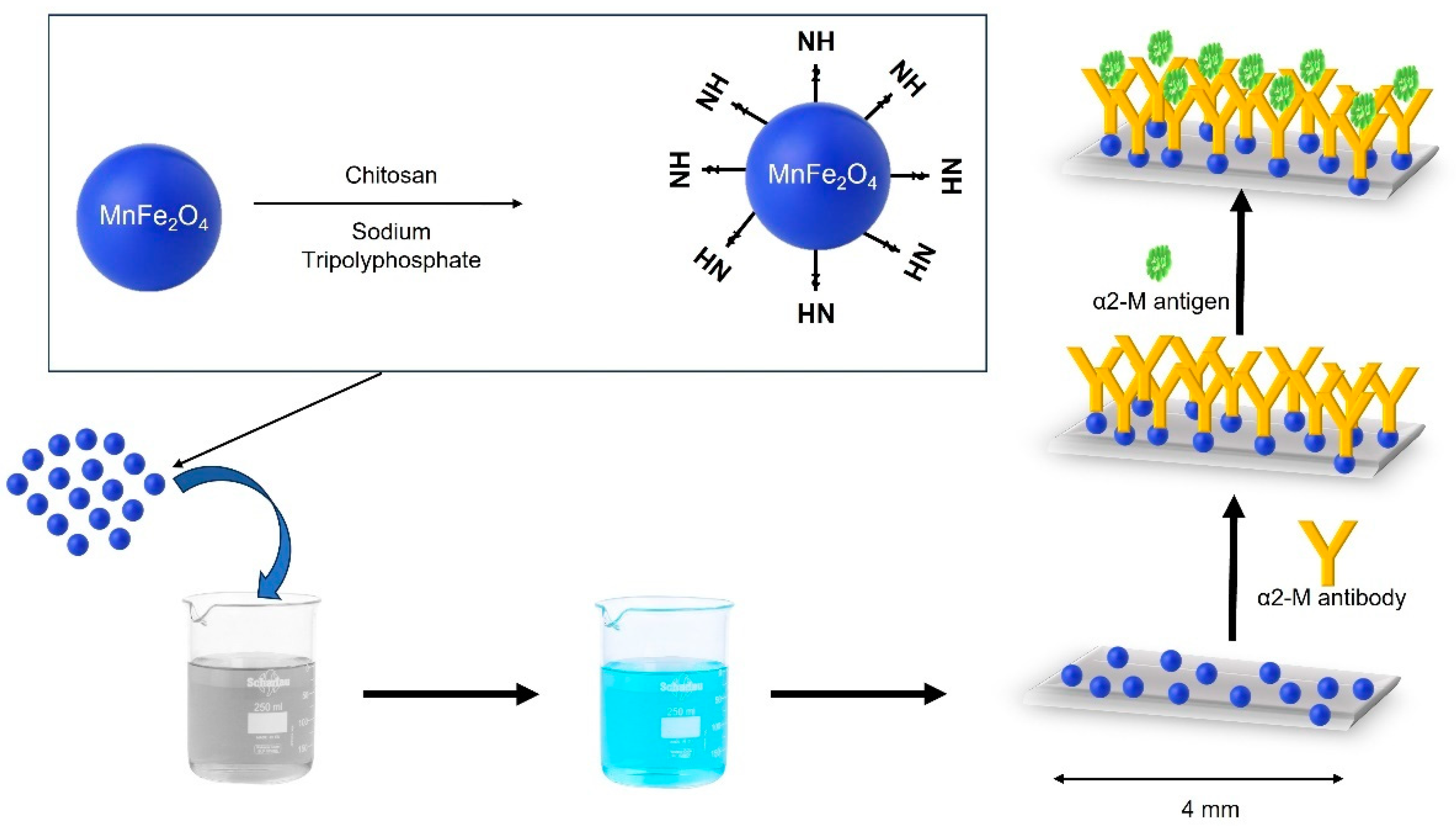 Chemosensors 11 00533 g001