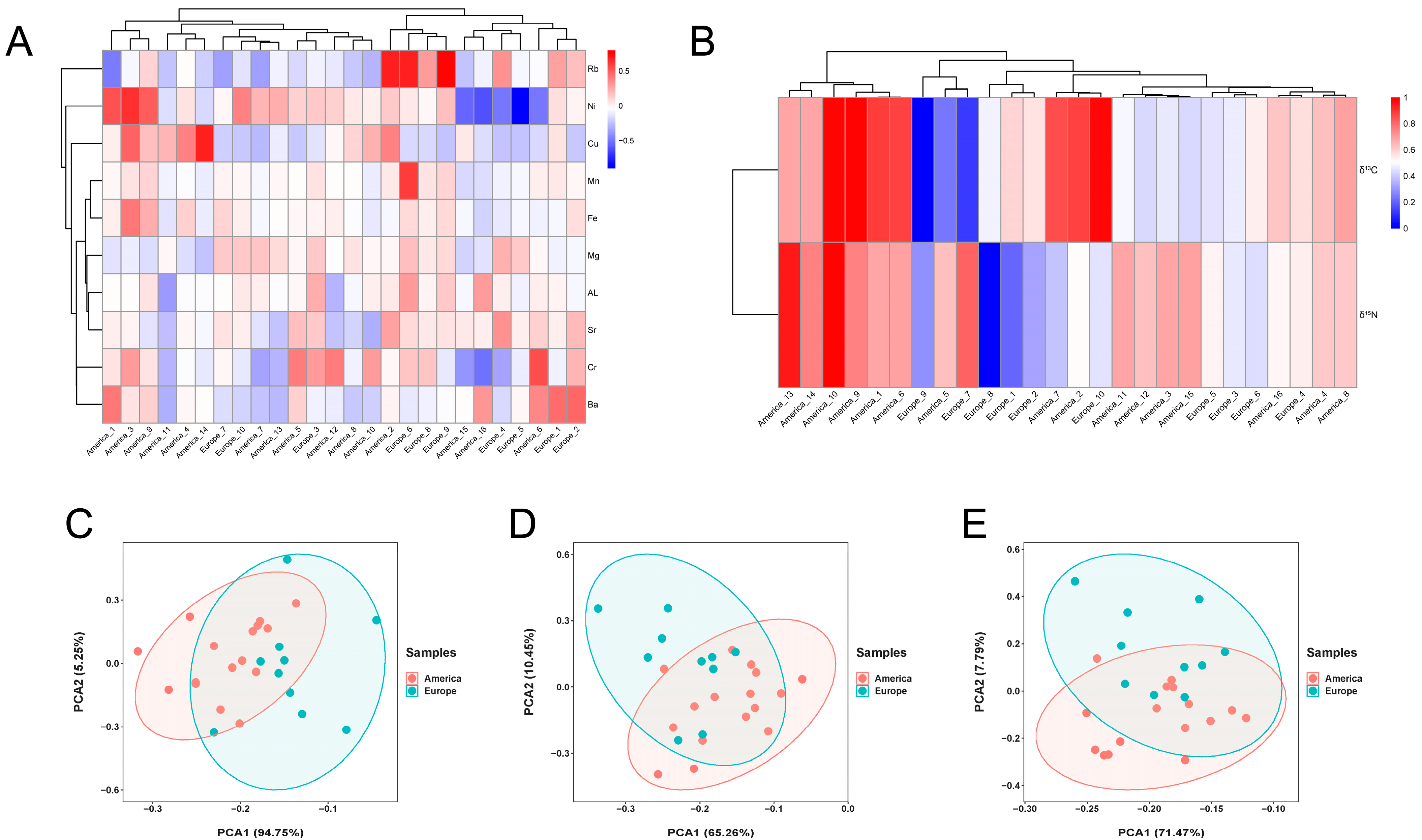 Chemosensors 11 00536 g001