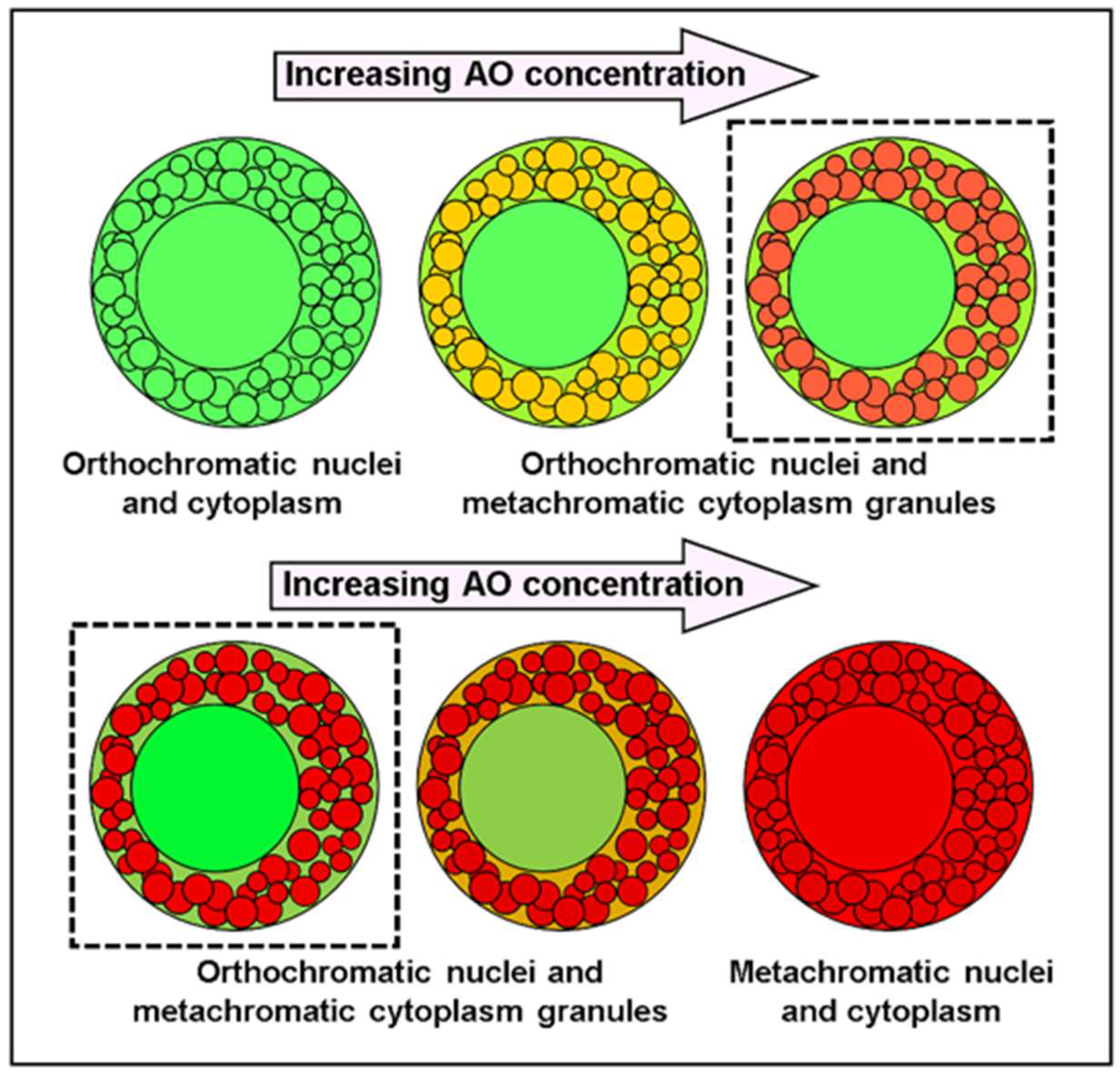 Chemosensors 11 00540 g004