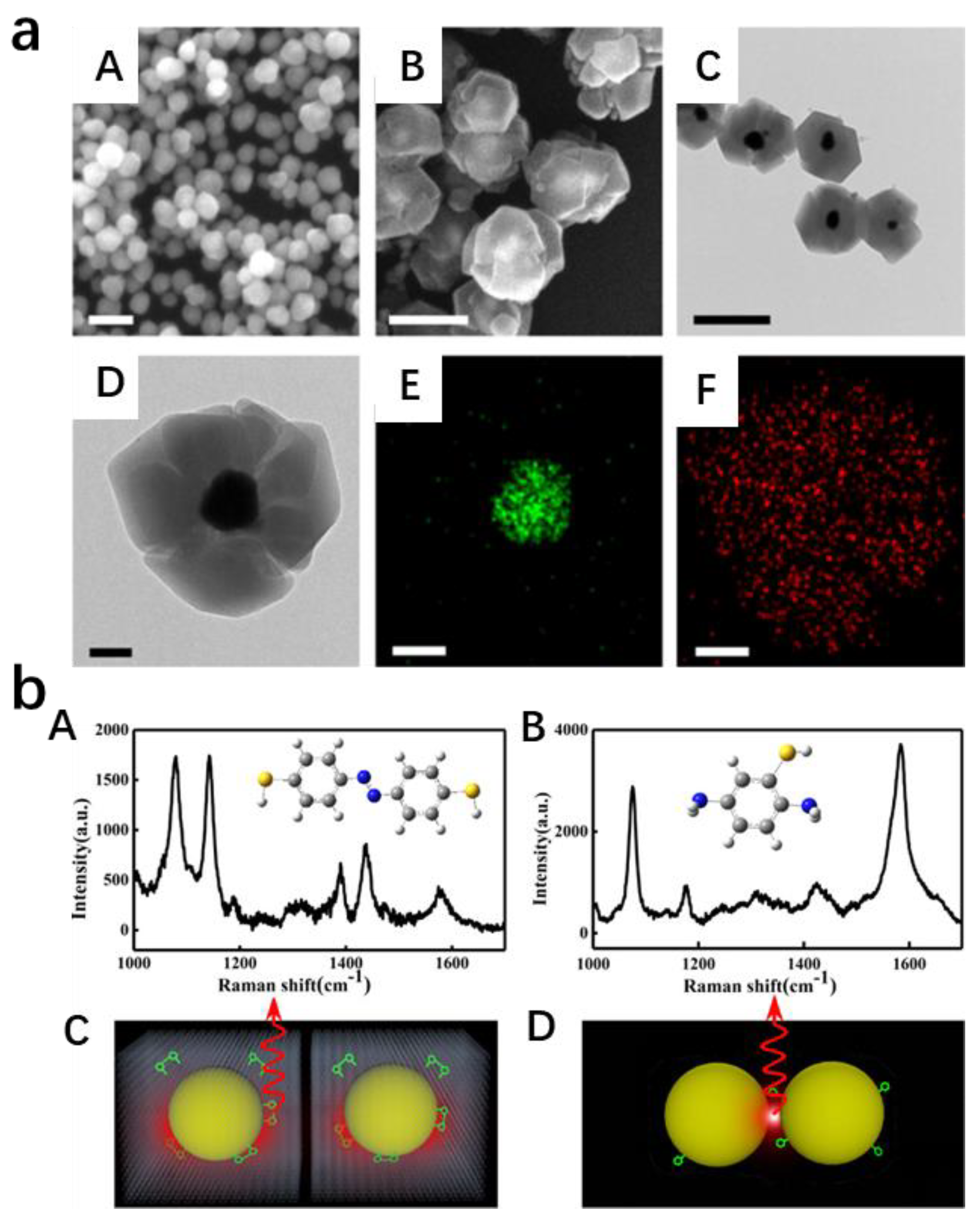 Chemosensors 11 00541 g006