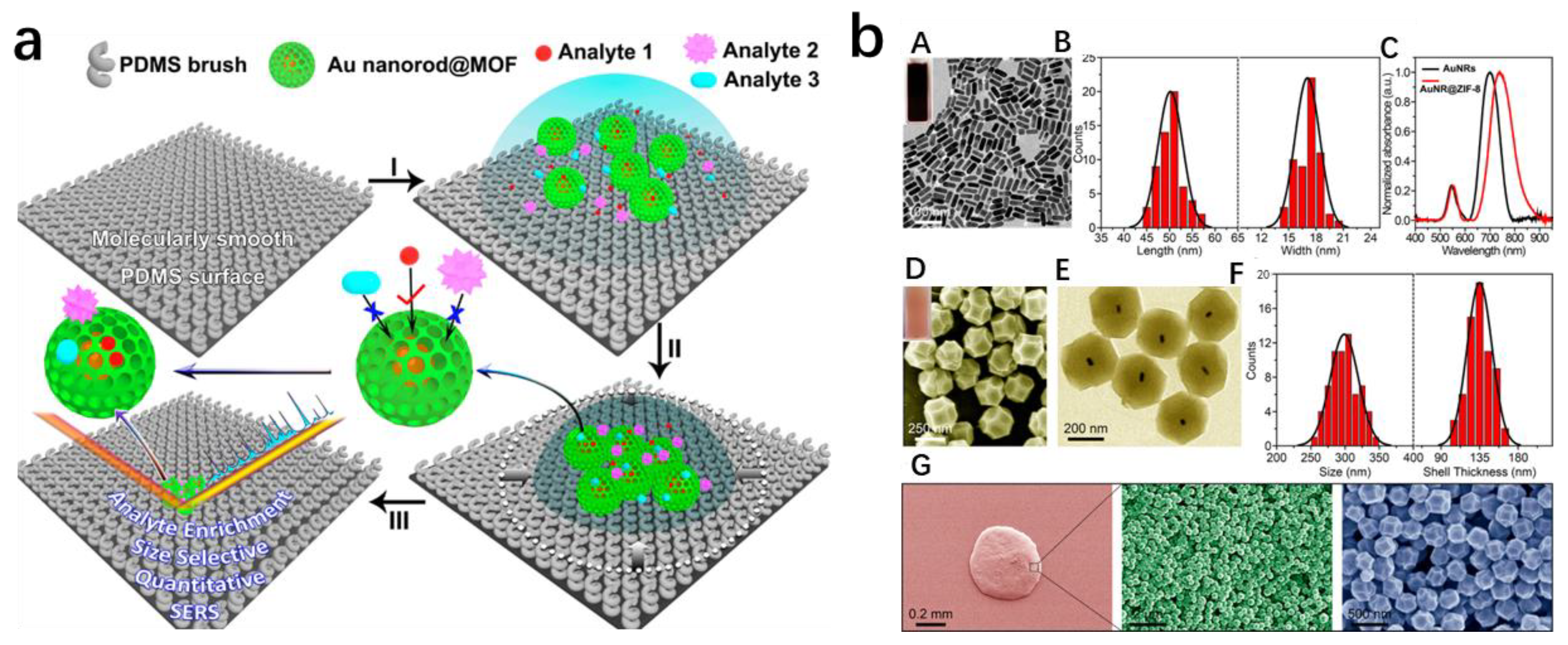 Chemosensors 11 00541 g007
