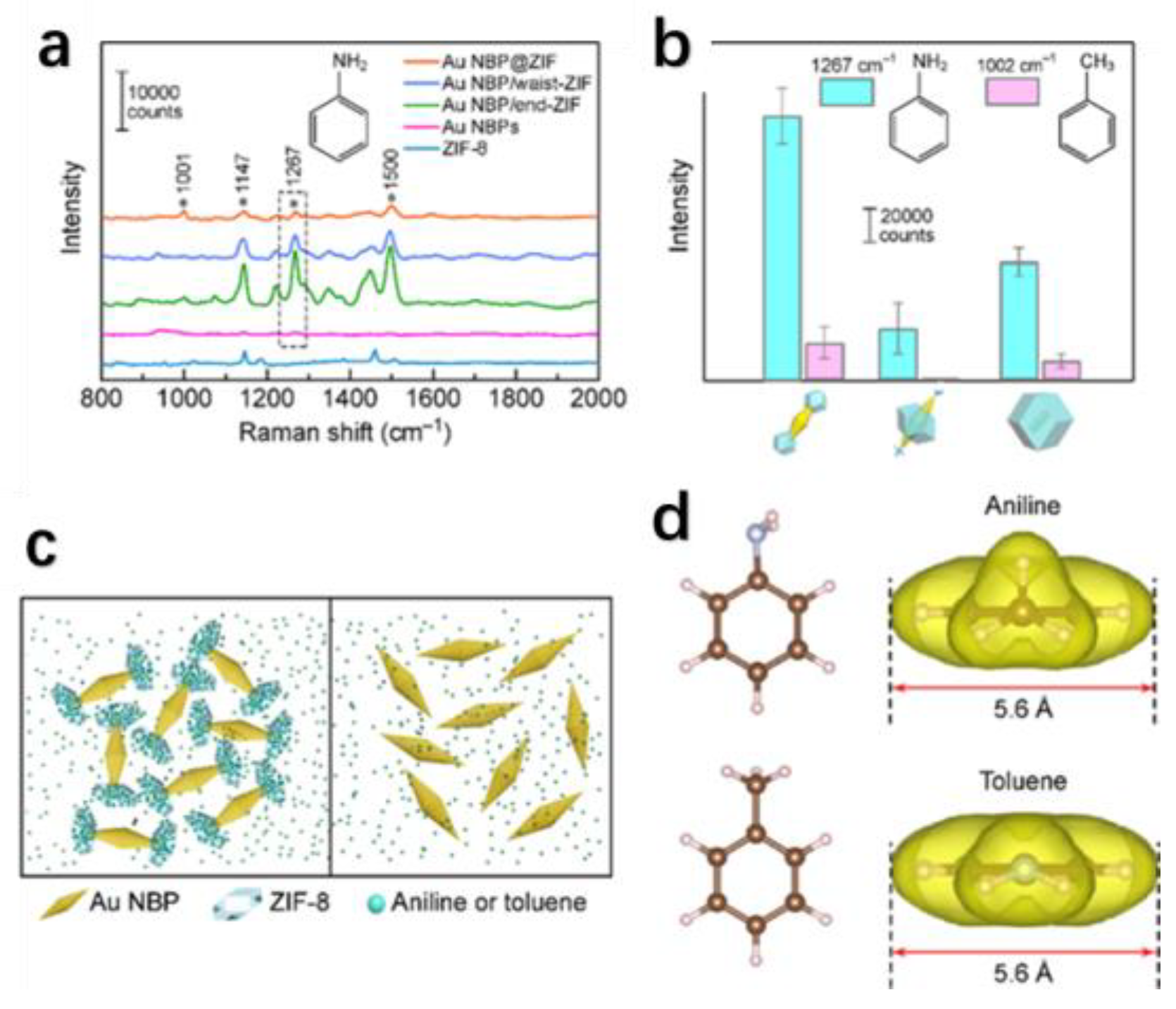 Chemosensors 11 00541 g008