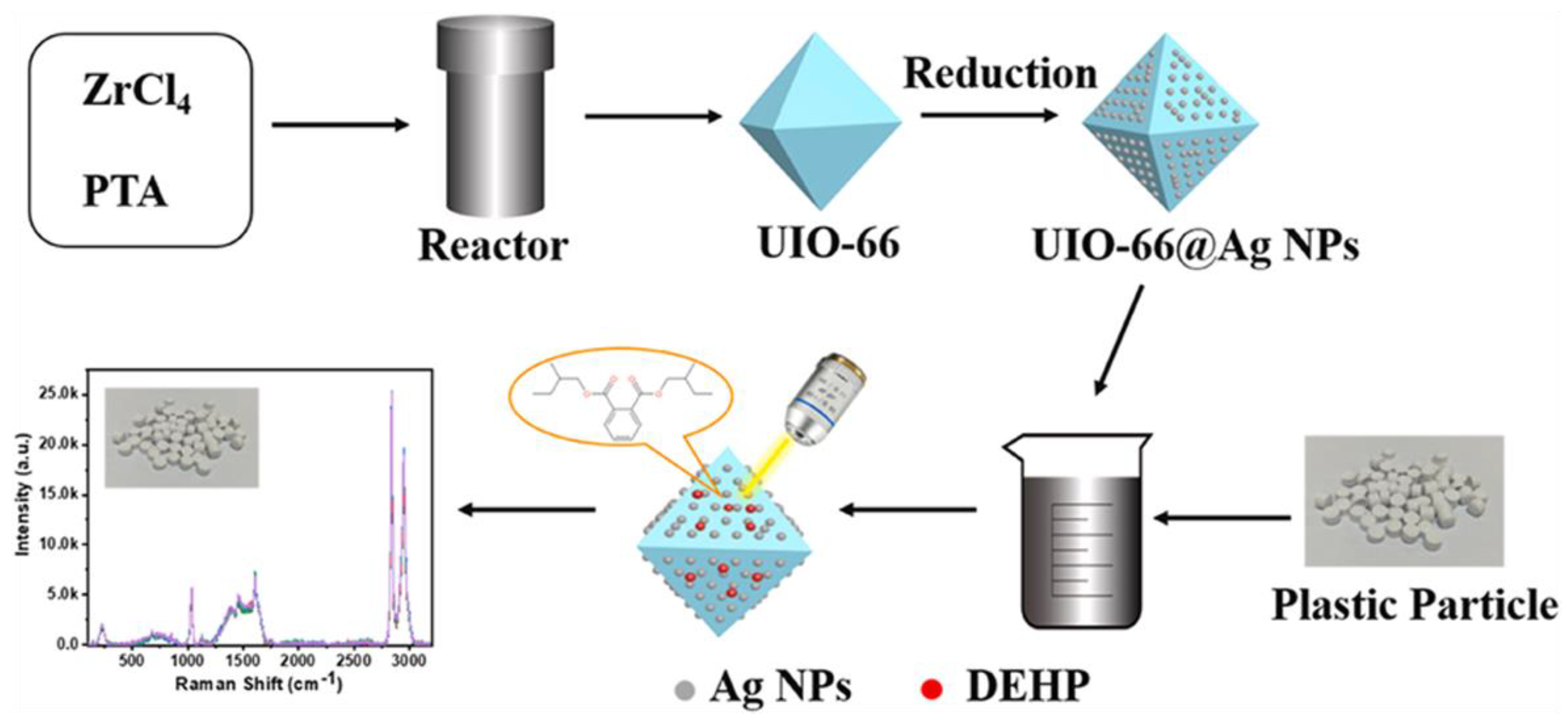 Chemosensors 11 00541 g011
