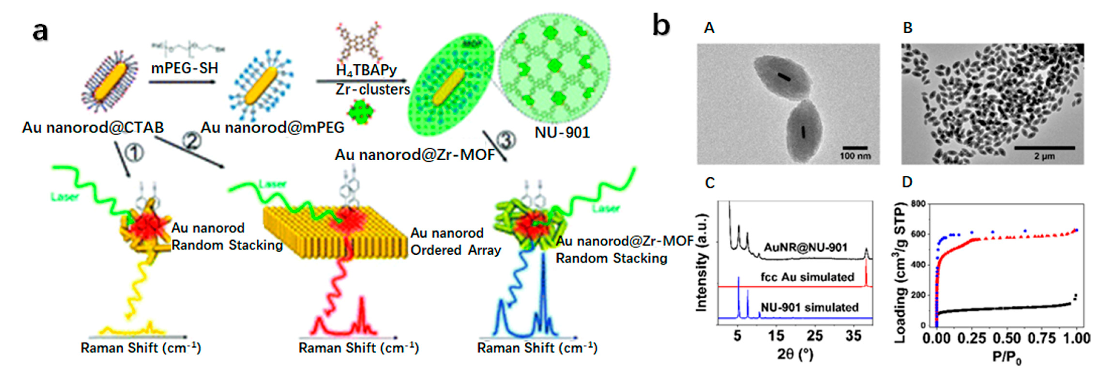Chemosensors 11 00541 g012