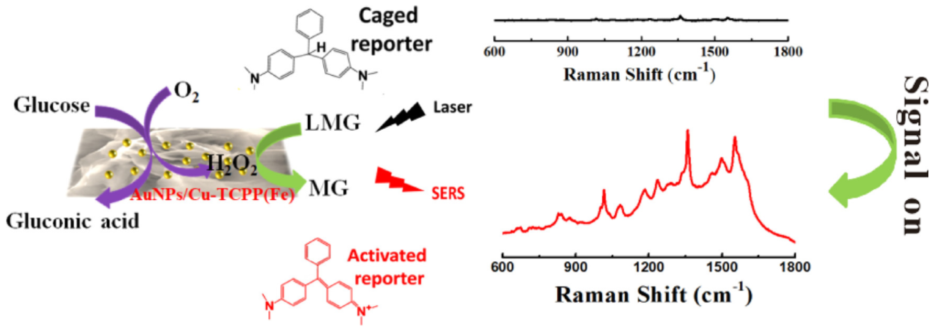 Chemosensors 11 00541 g015