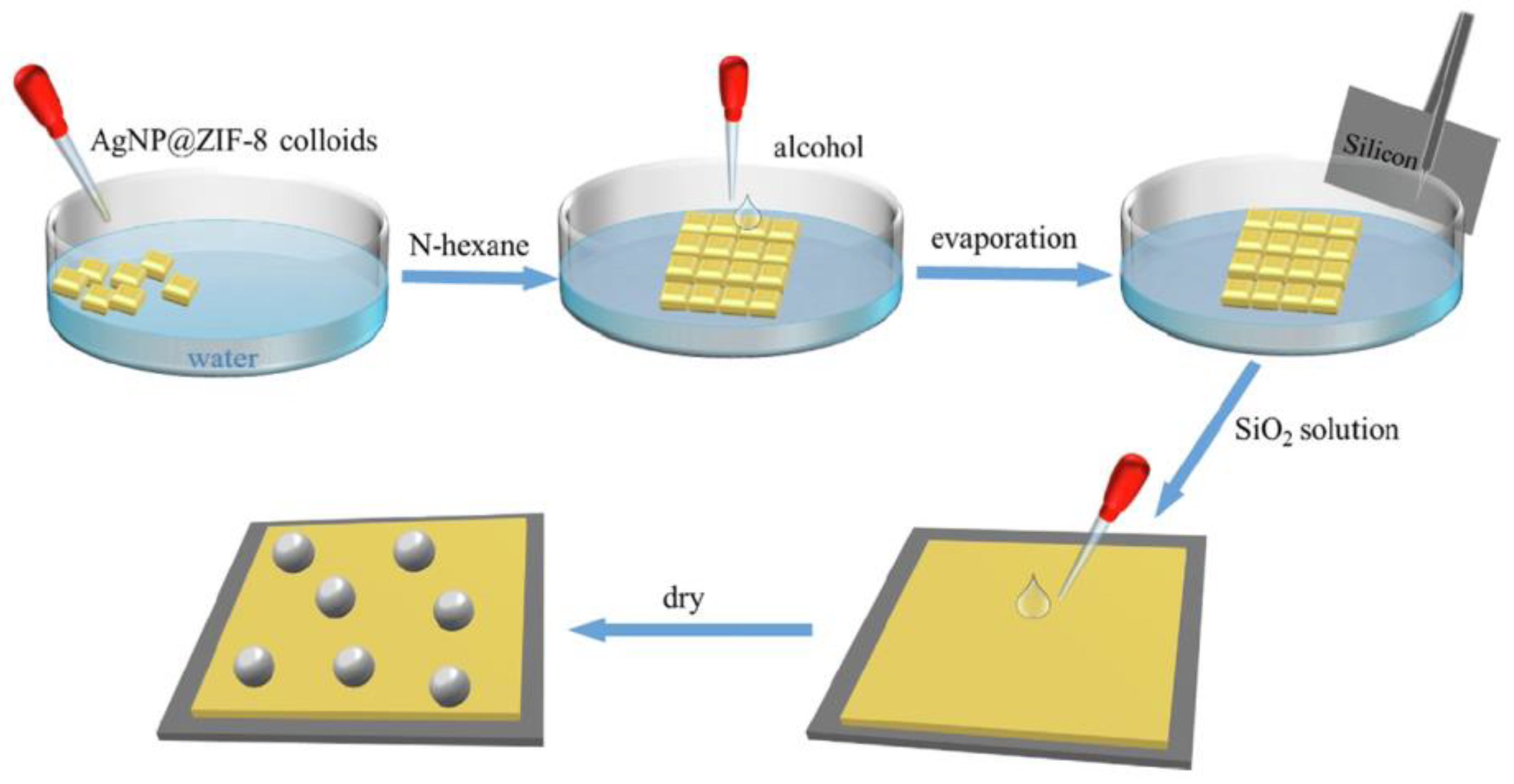Chemosensors 11 00541 g017
