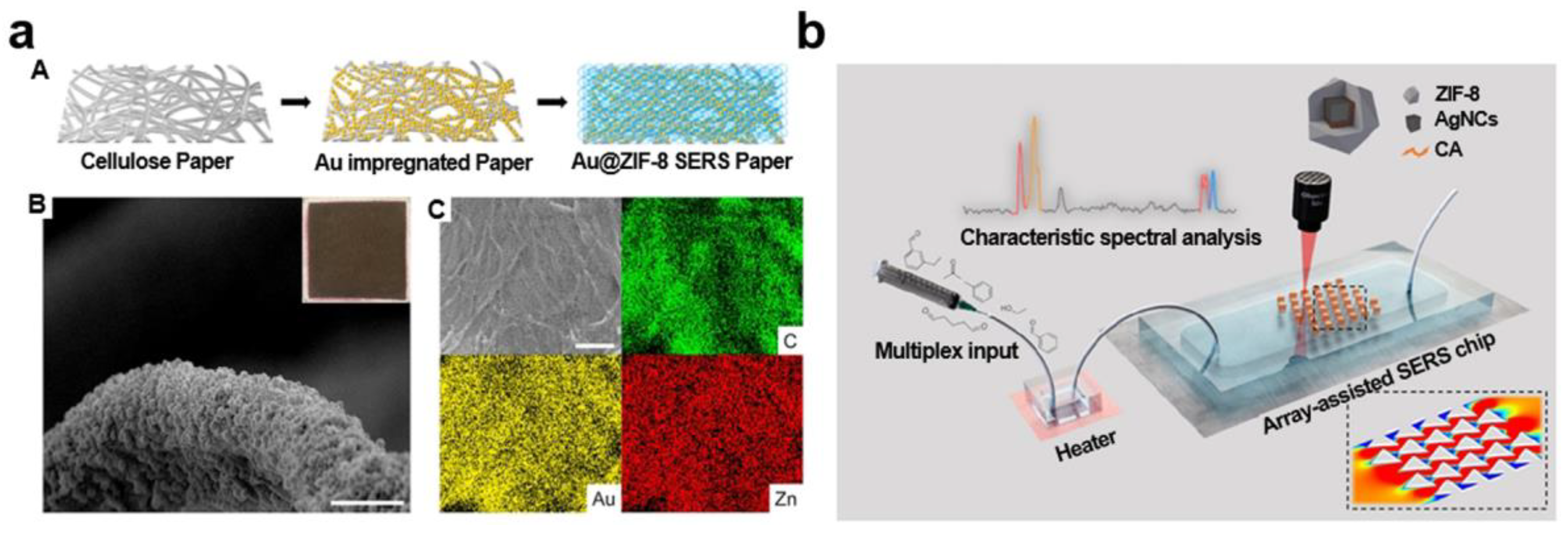 Chemosensors 11 00541 g018