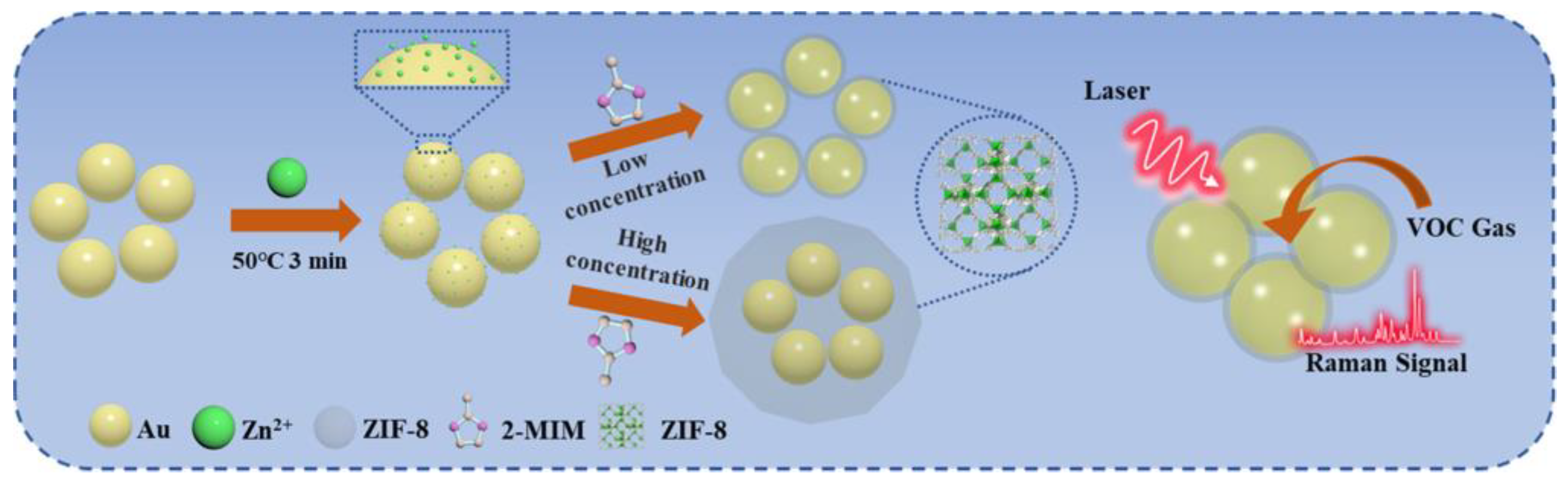 Chemosensors 11 00541 g019