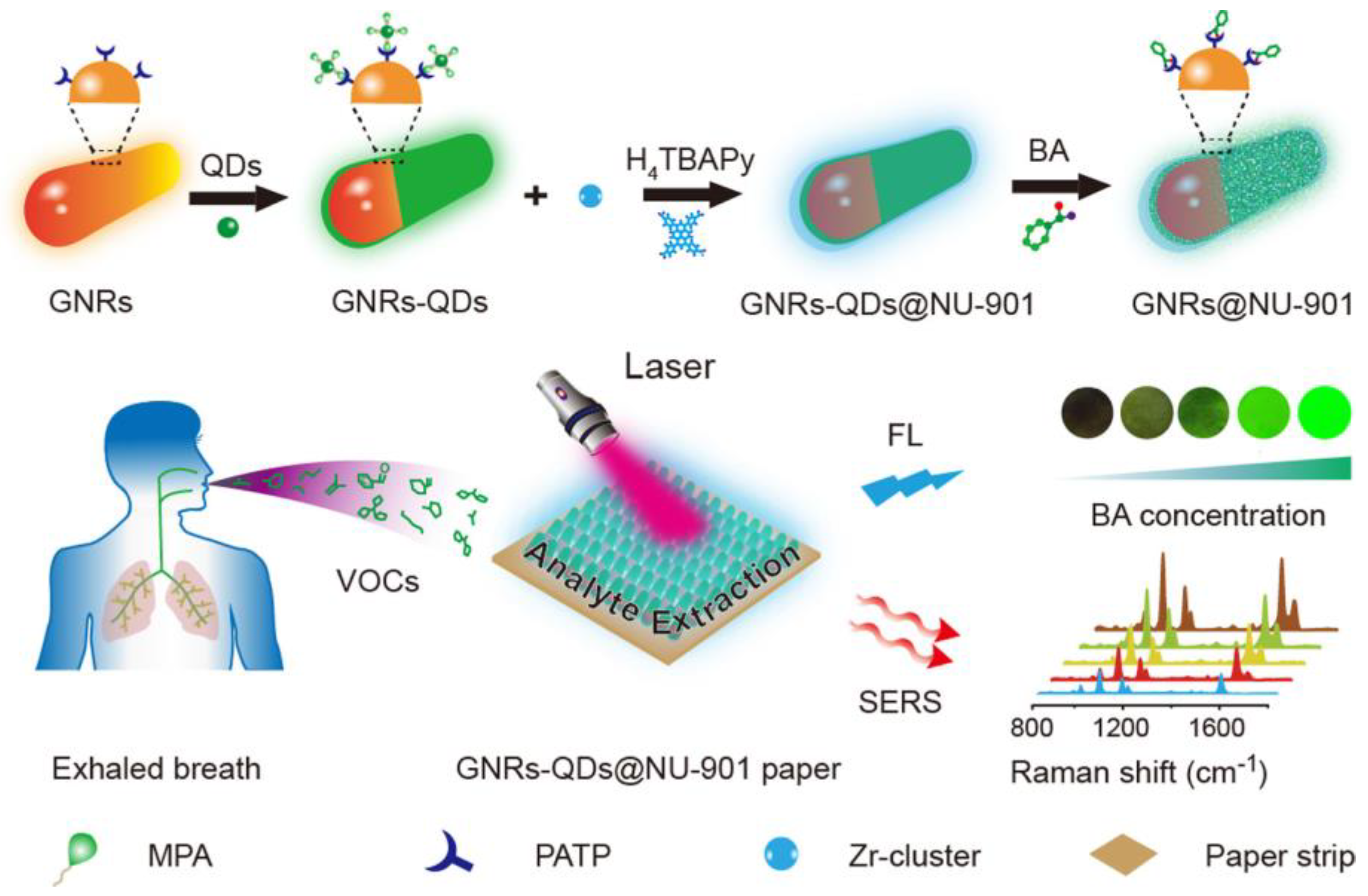 Chemosensors 11 00541 g020