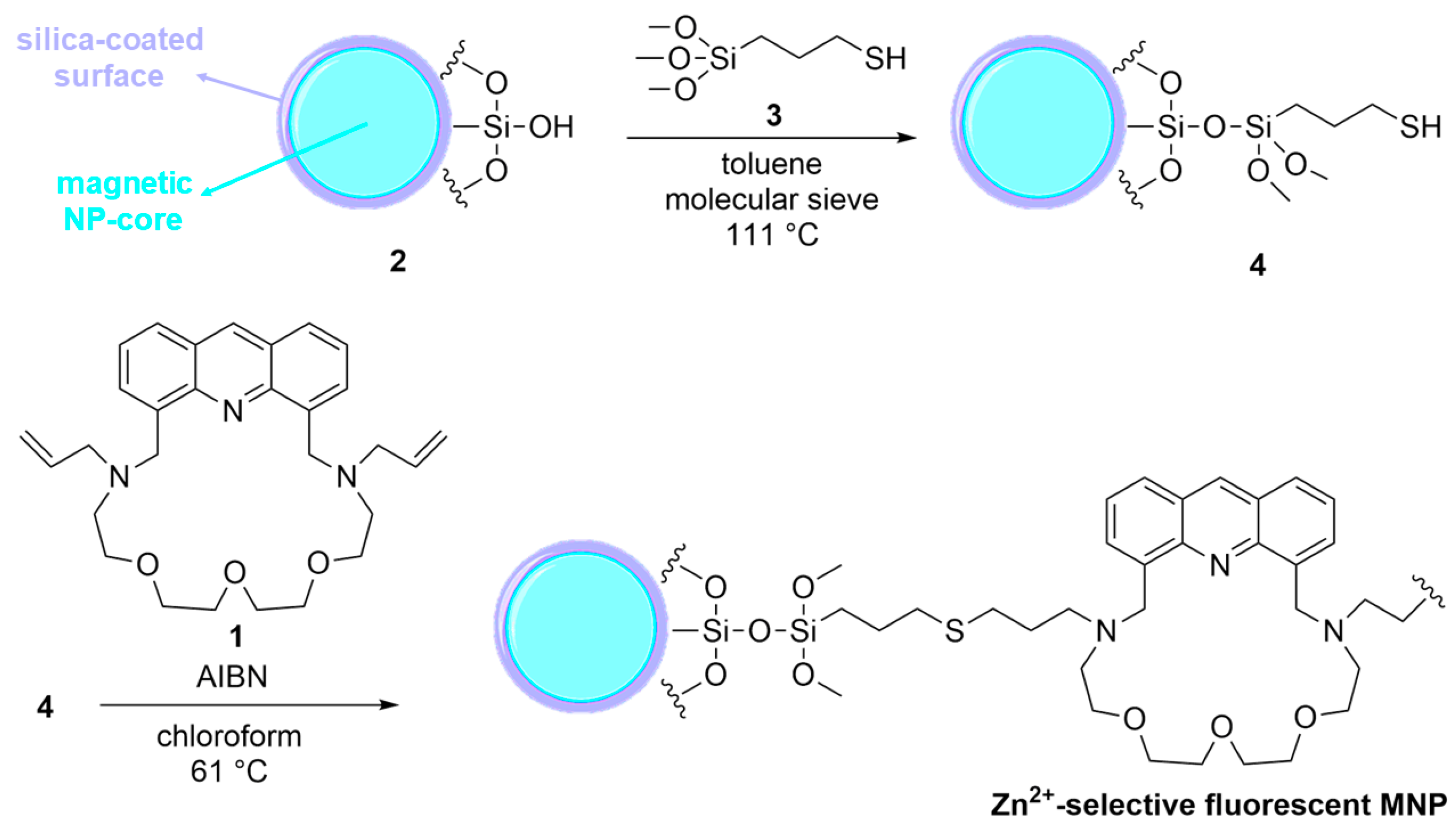 Chemosensors 11 00547 sch001