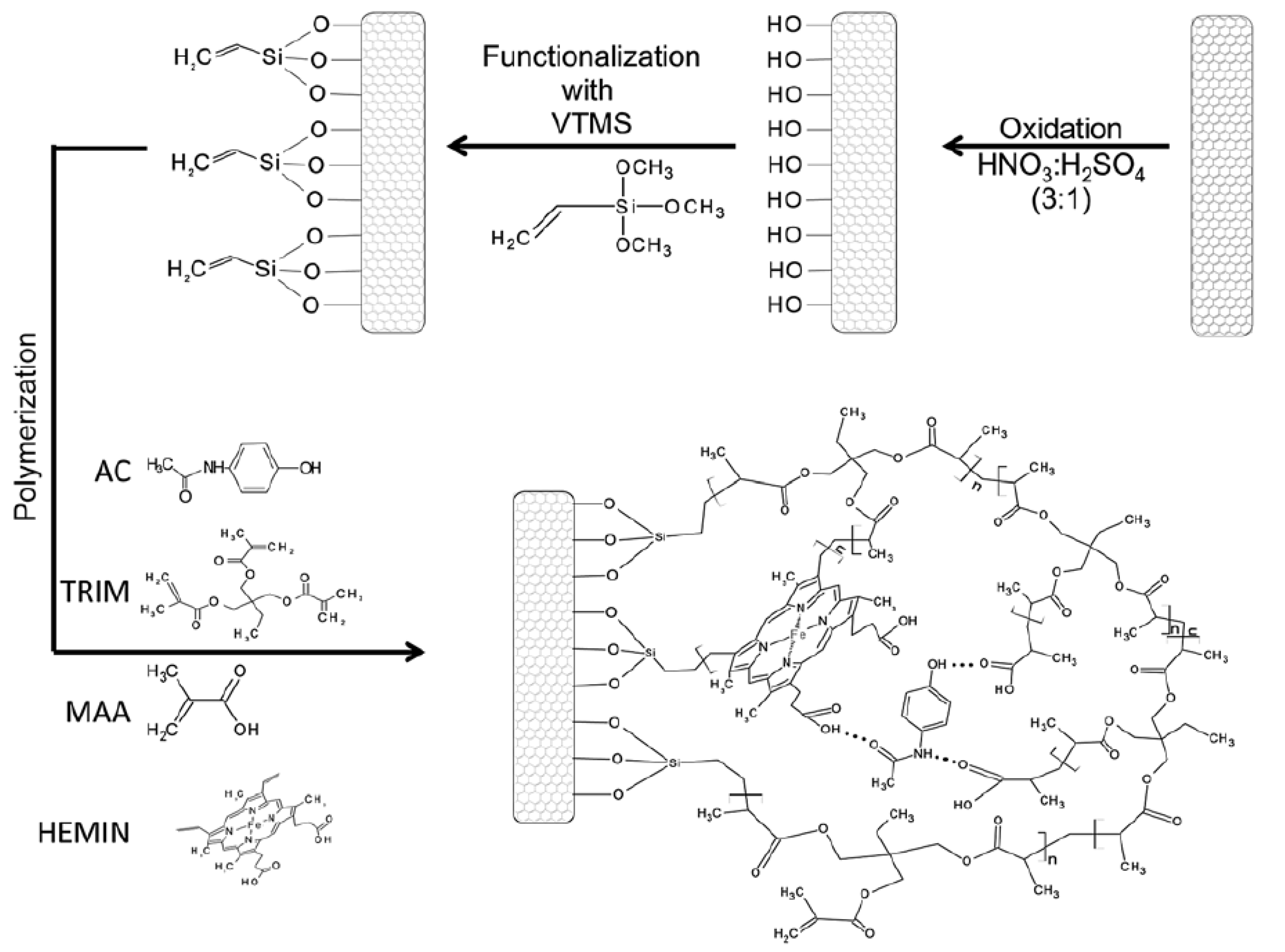 Chemosensors 11 00548 g002