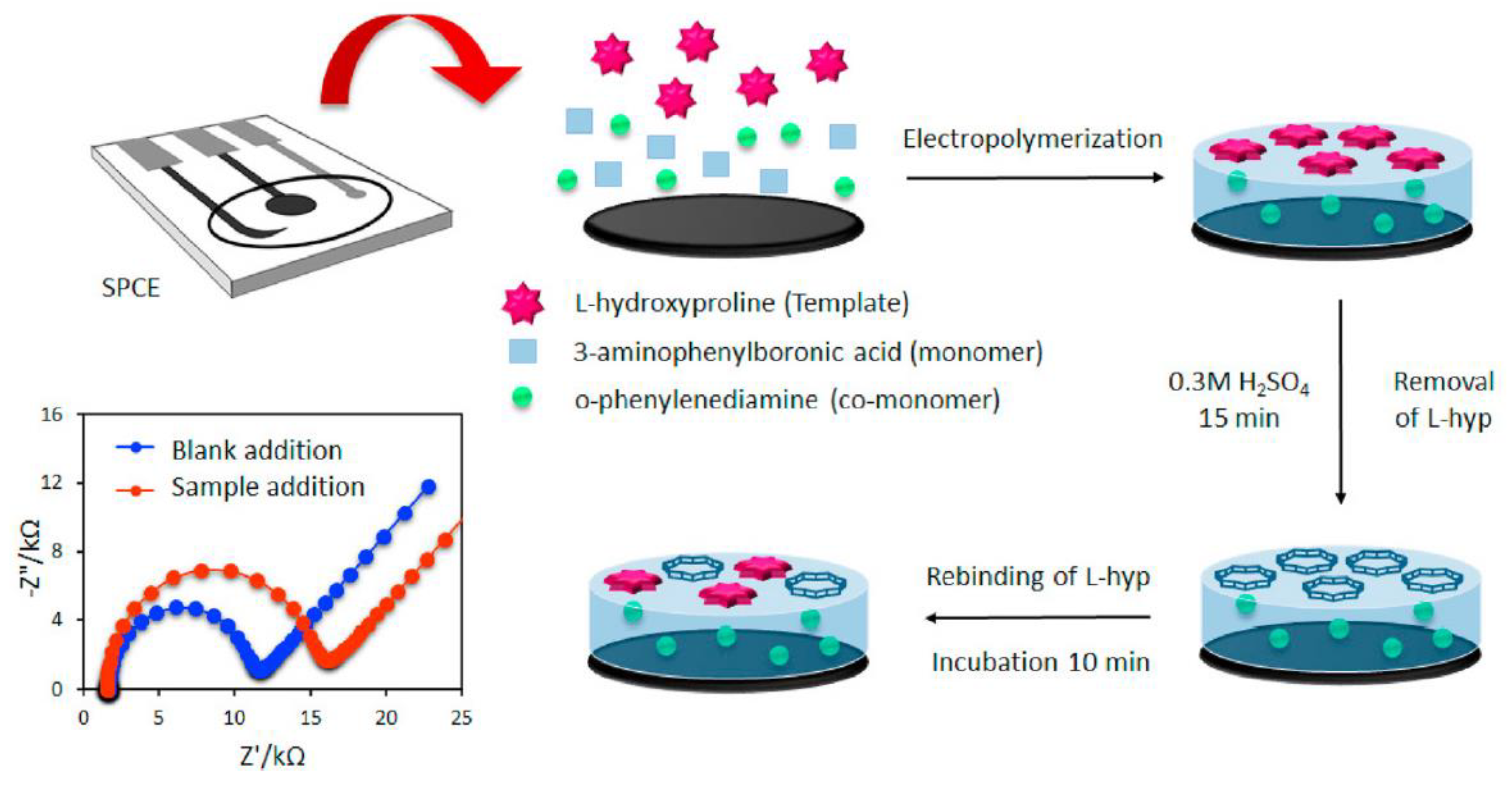 Chemosensors 11 00548 g004