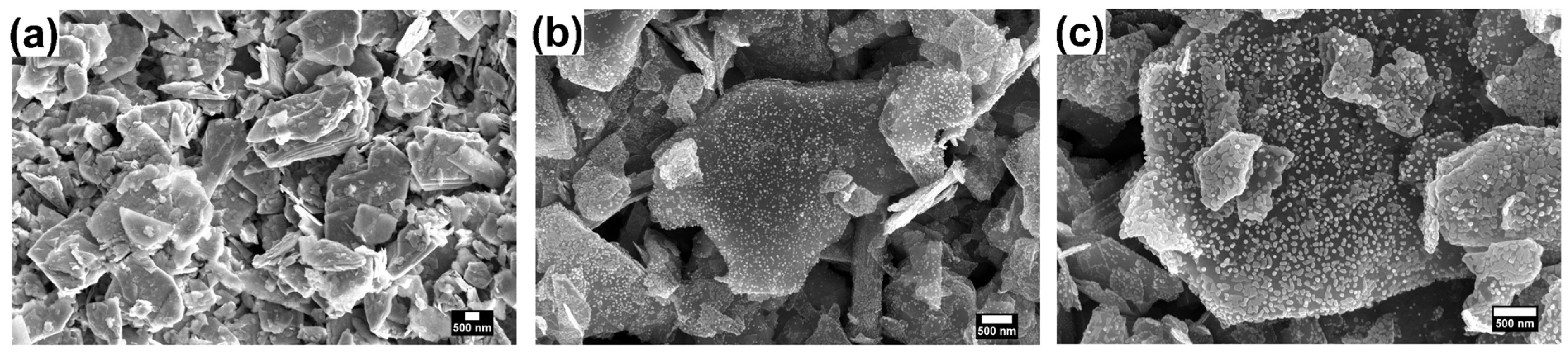 Chemosensors 11 00550 g001