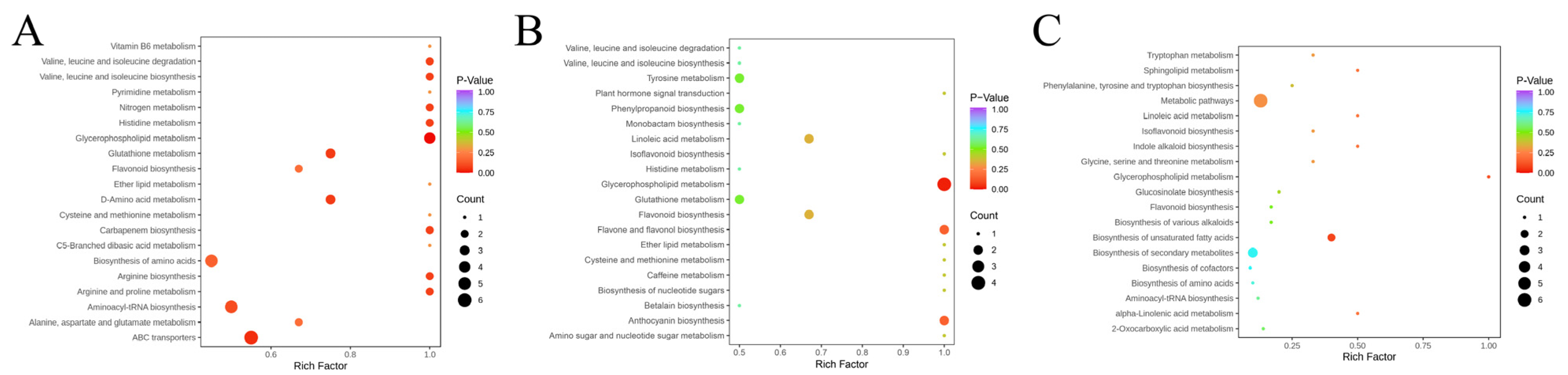 Chemosensors 11 00558 g008