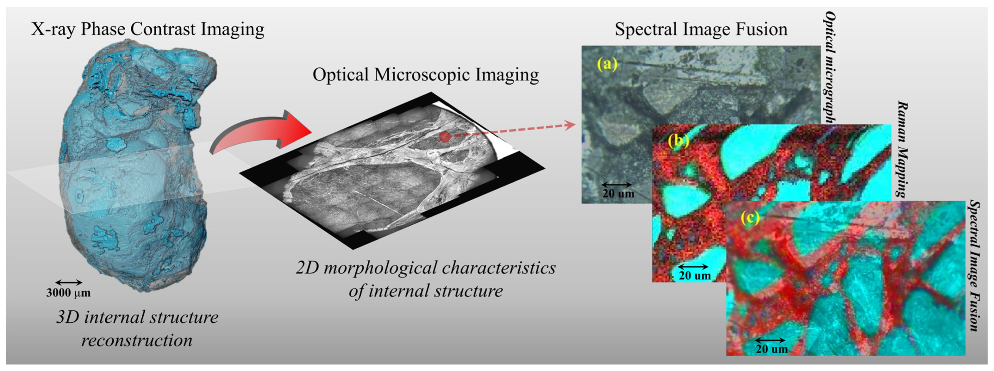 Chemosensors 11 00563 g001