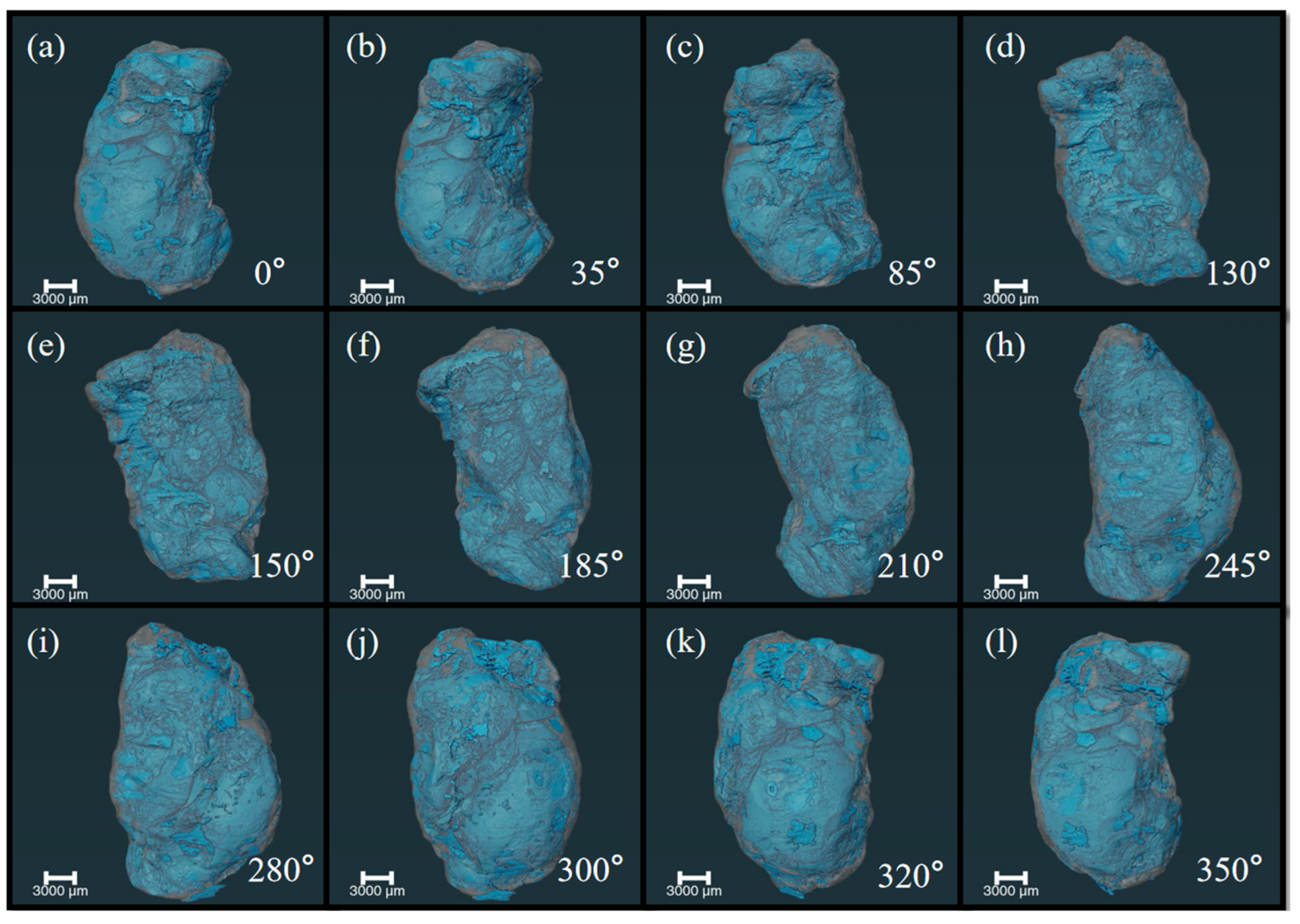 Chemosensors 11 00563 g003