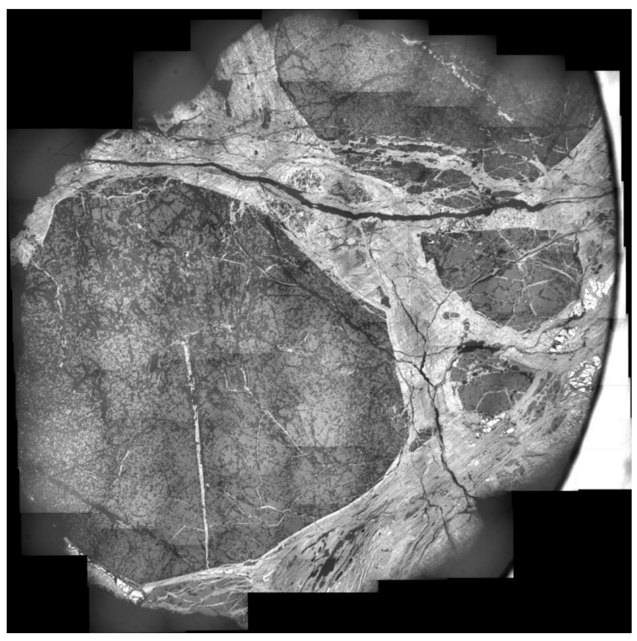 Chemosensors 11 00563 g004