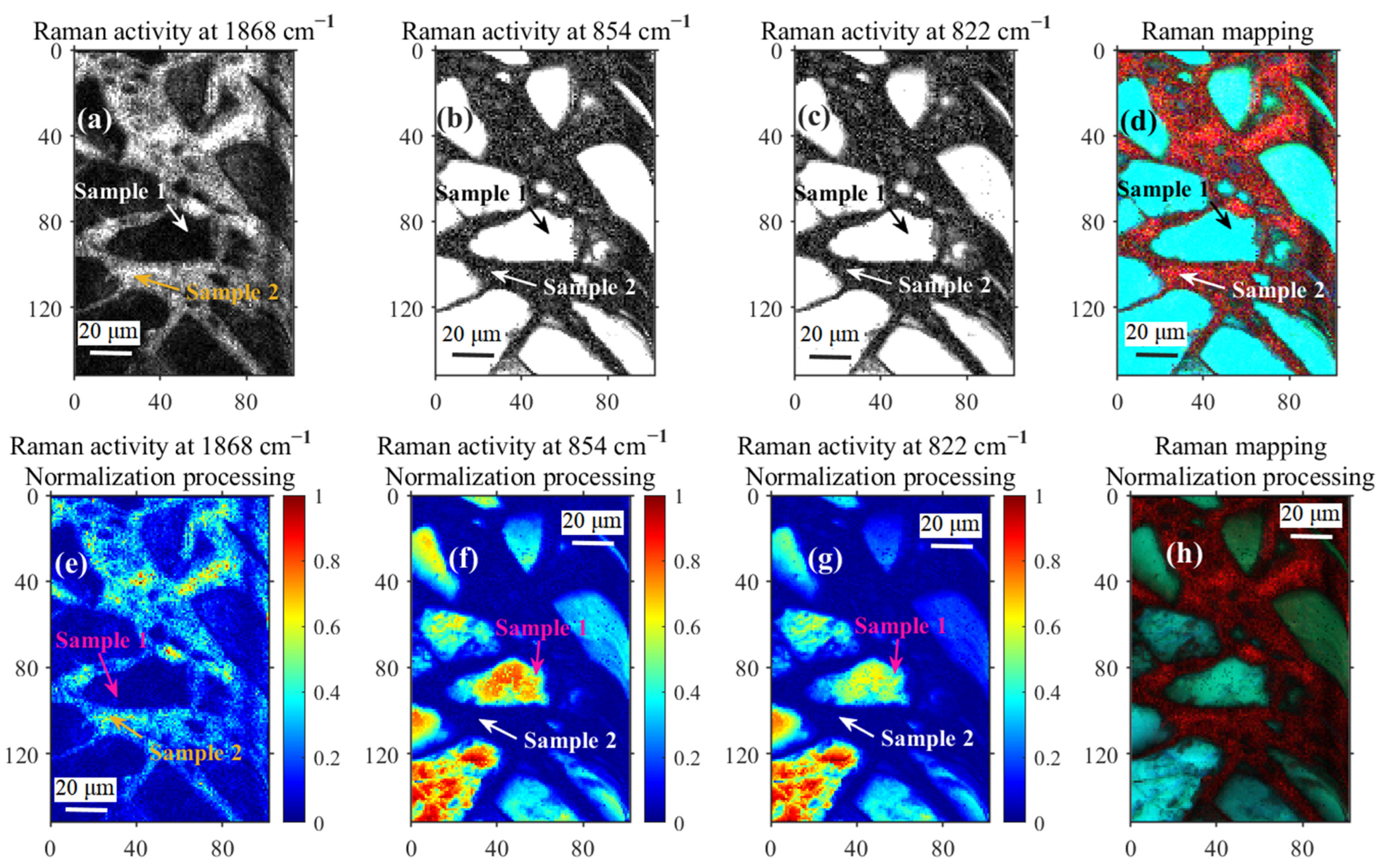 Chemosensors 11 00563 g007