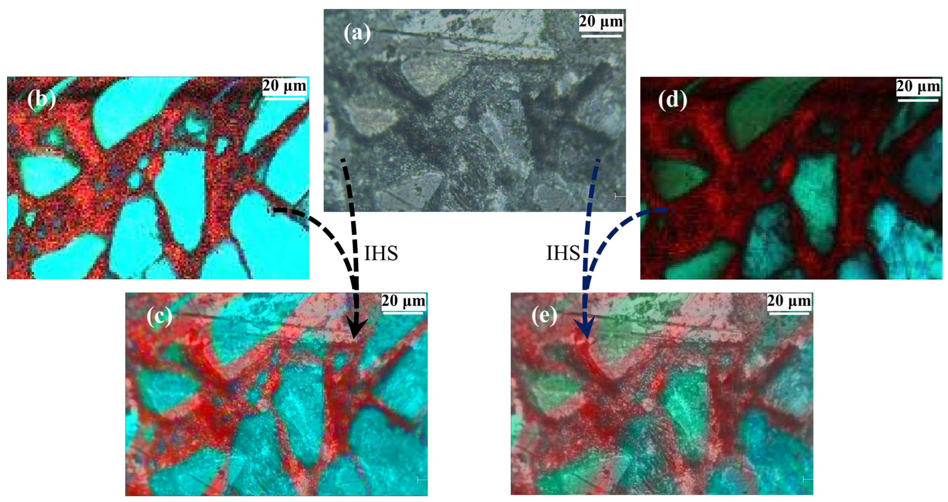 Chemosensors 11 00563 g008